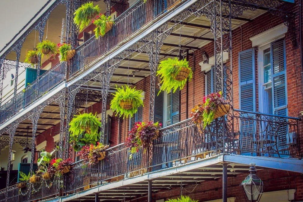 French Quarter Mansion balconies with wrought-iron railings and hanging ferns