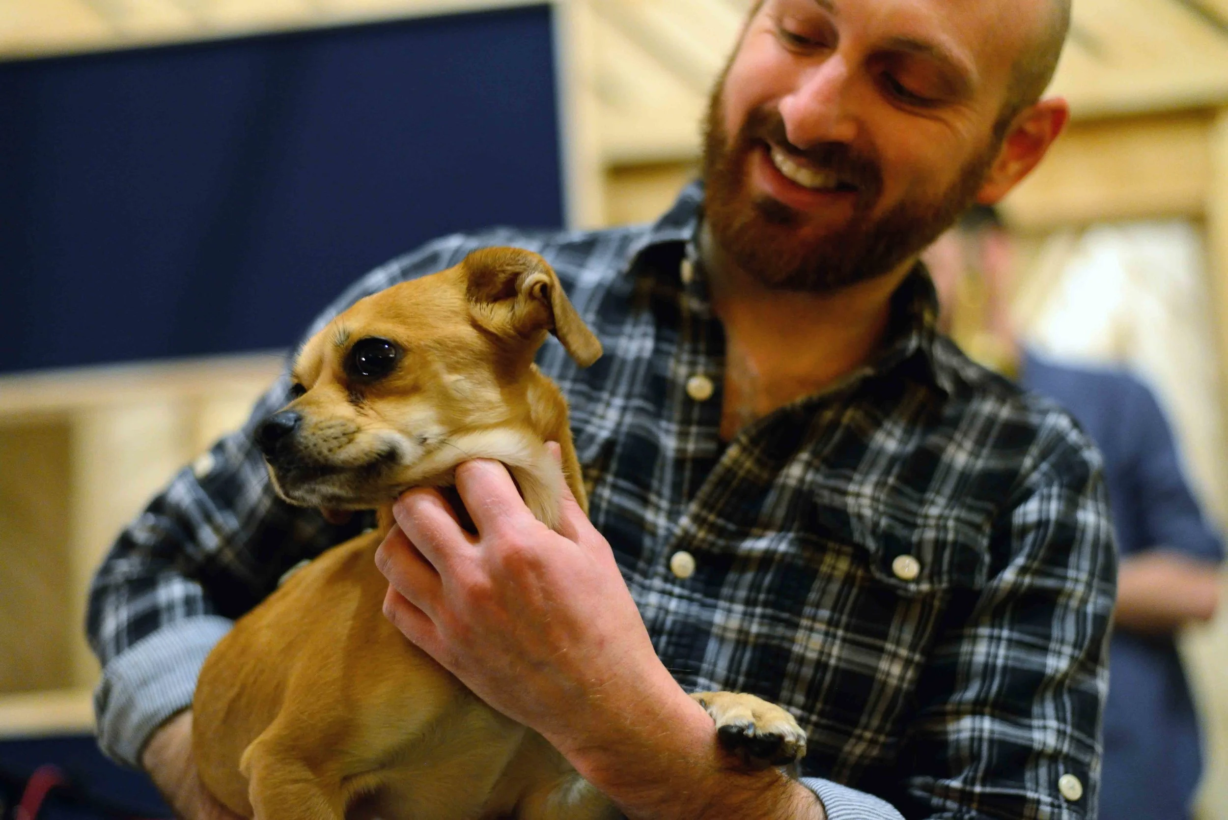  Aaron Nevezie, recording engineer. Chico, dog. David White Jazz Orchestra. The Chase. Mister Shepherd Records (MSR-10615). Recording session at The Bunker Studio, Brooklyn, NY. 2014. Photo by Joe Josephs.   