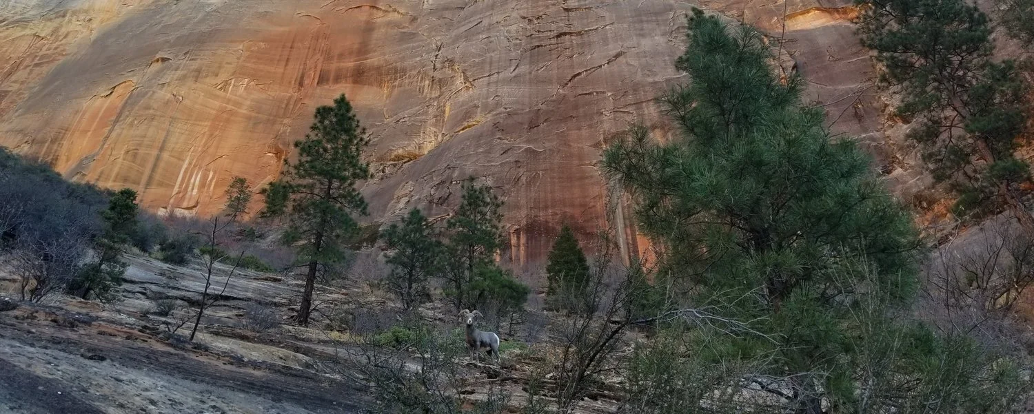 Zion