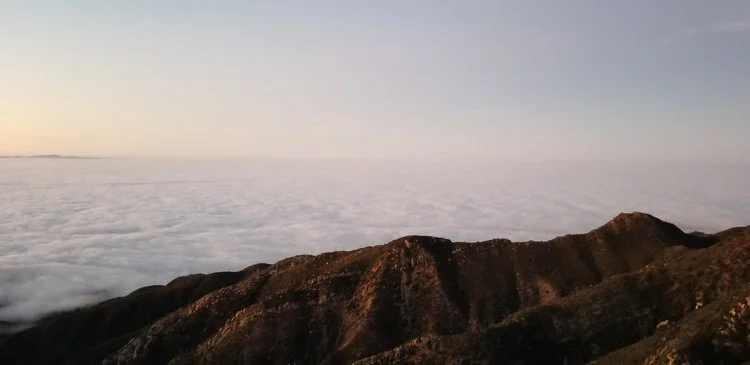 Santa Barbara