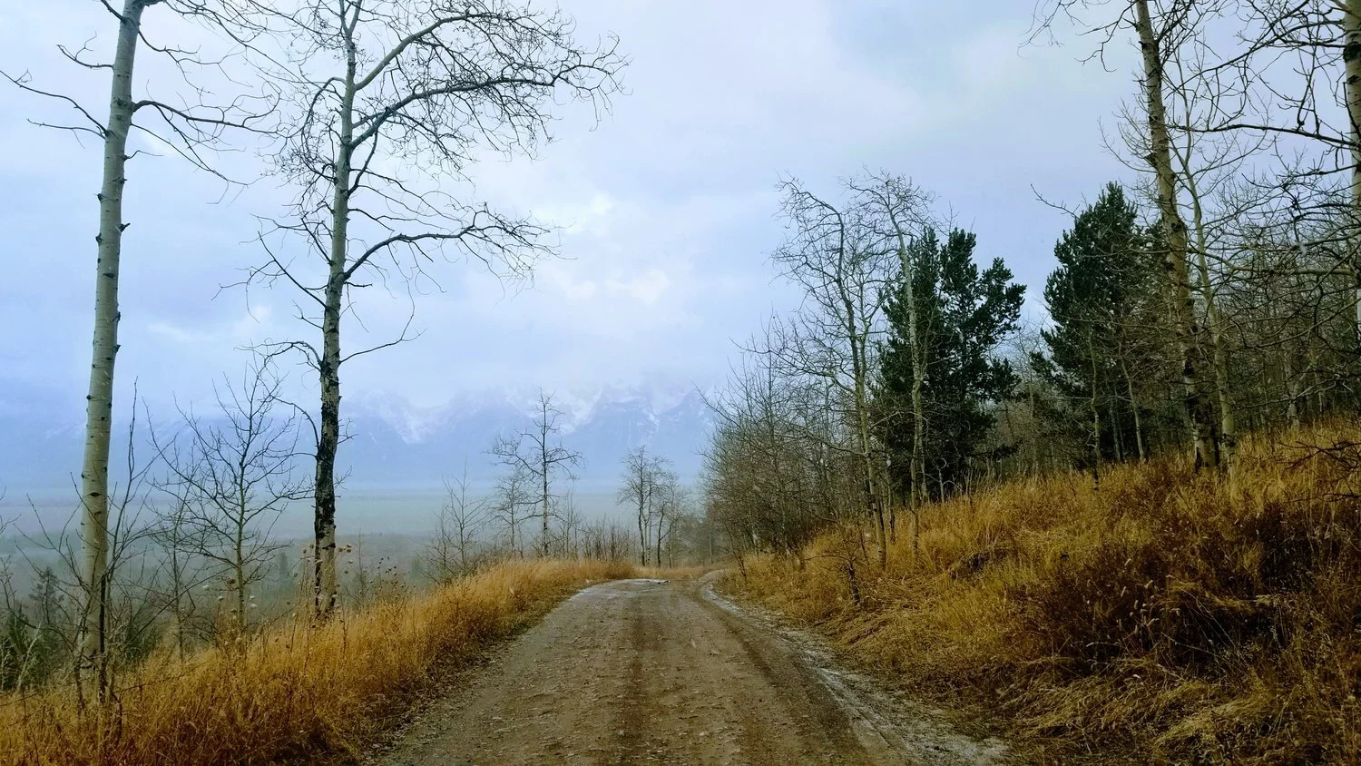 Jackson Hole
