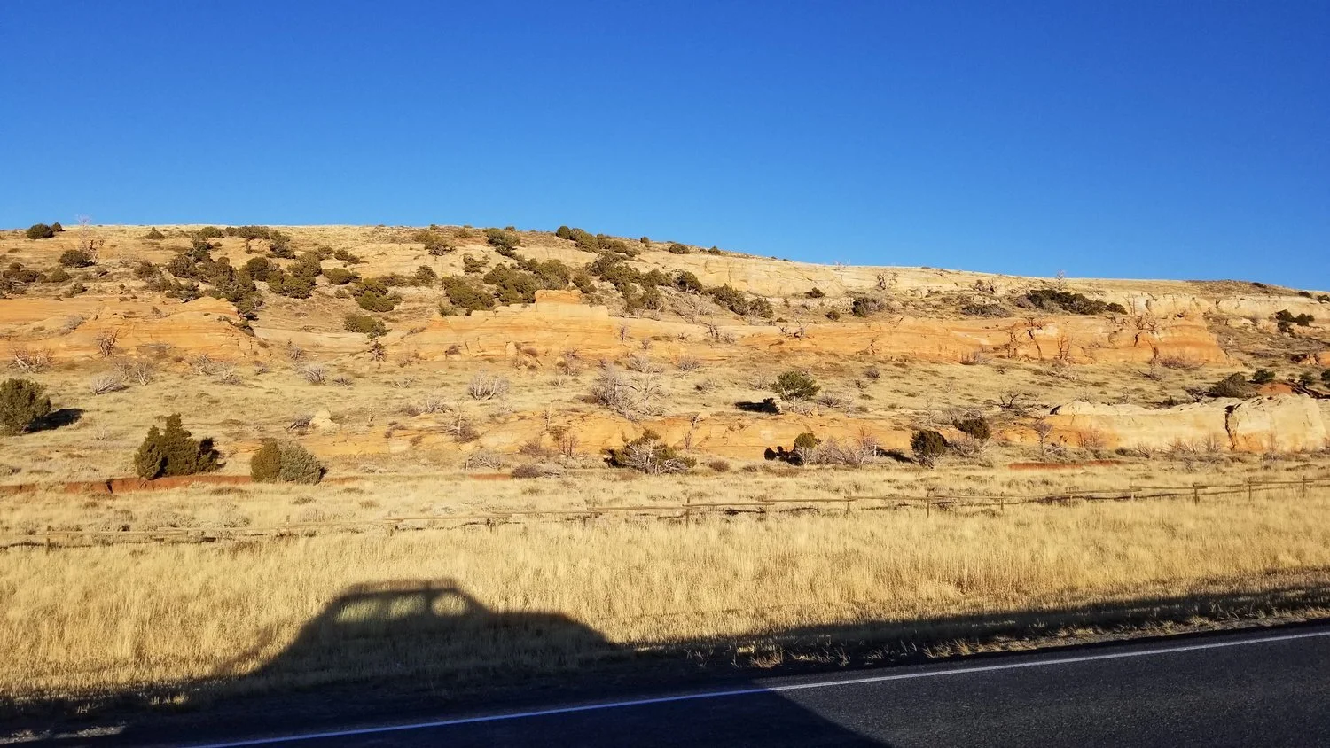 Shoshone National Forest