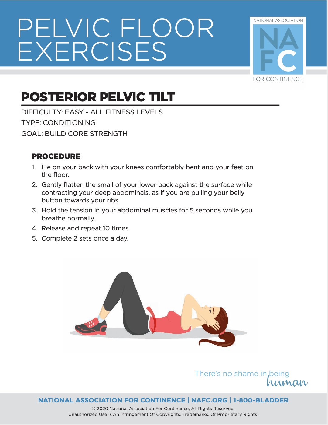downloadable exercises for your pelvic floor