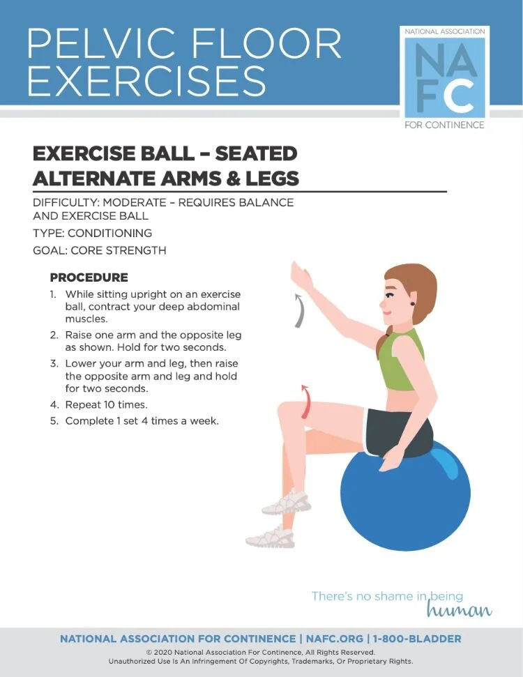 downloadable exercises for your pelvic floor