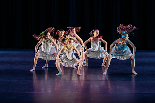 earthdancers 01.png