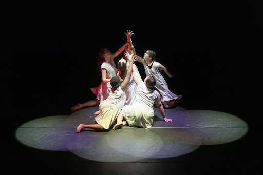 earthdancers 02.png