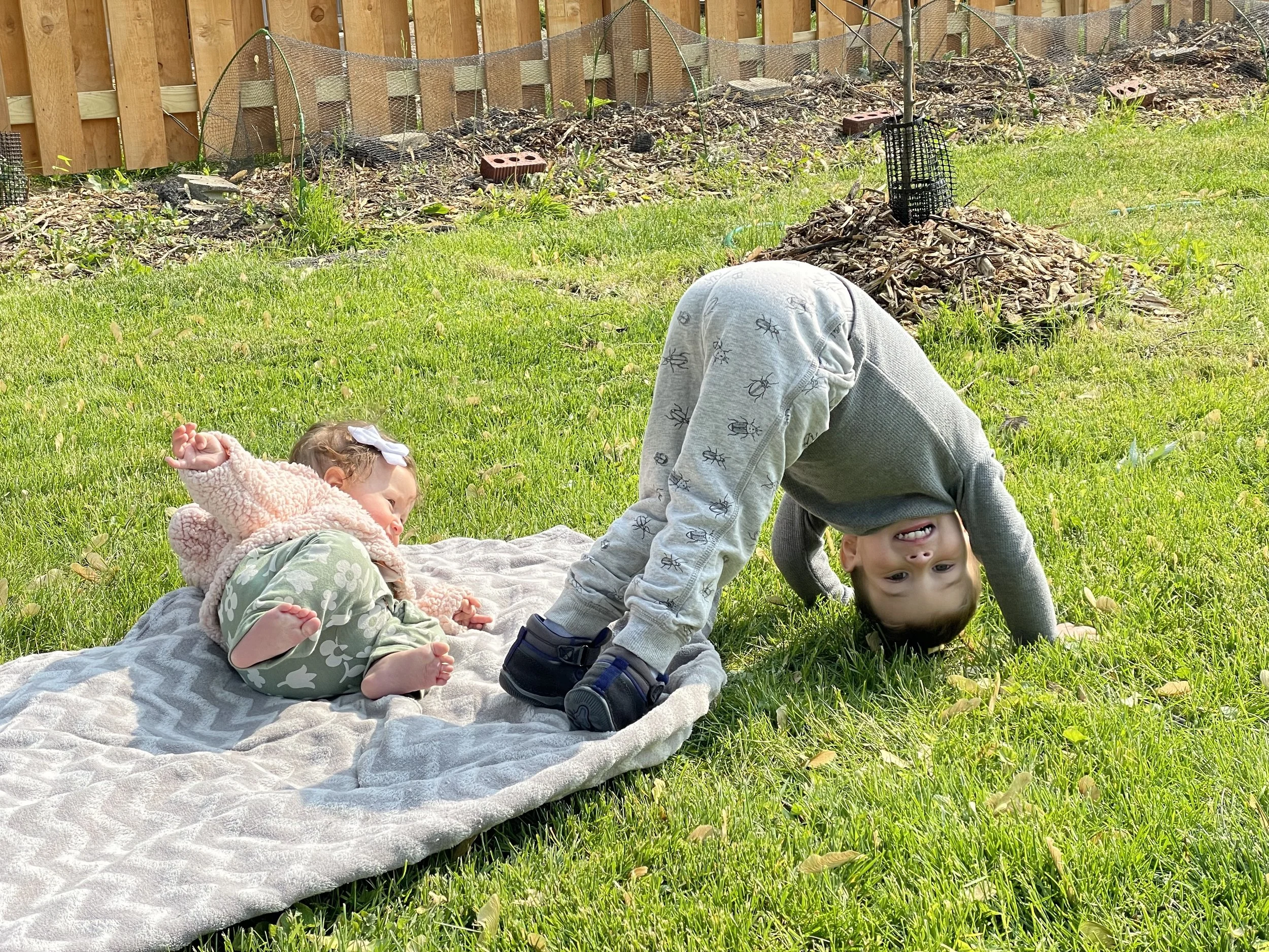 Dance, Plants, and Play! @ Caracol Gathering Space 