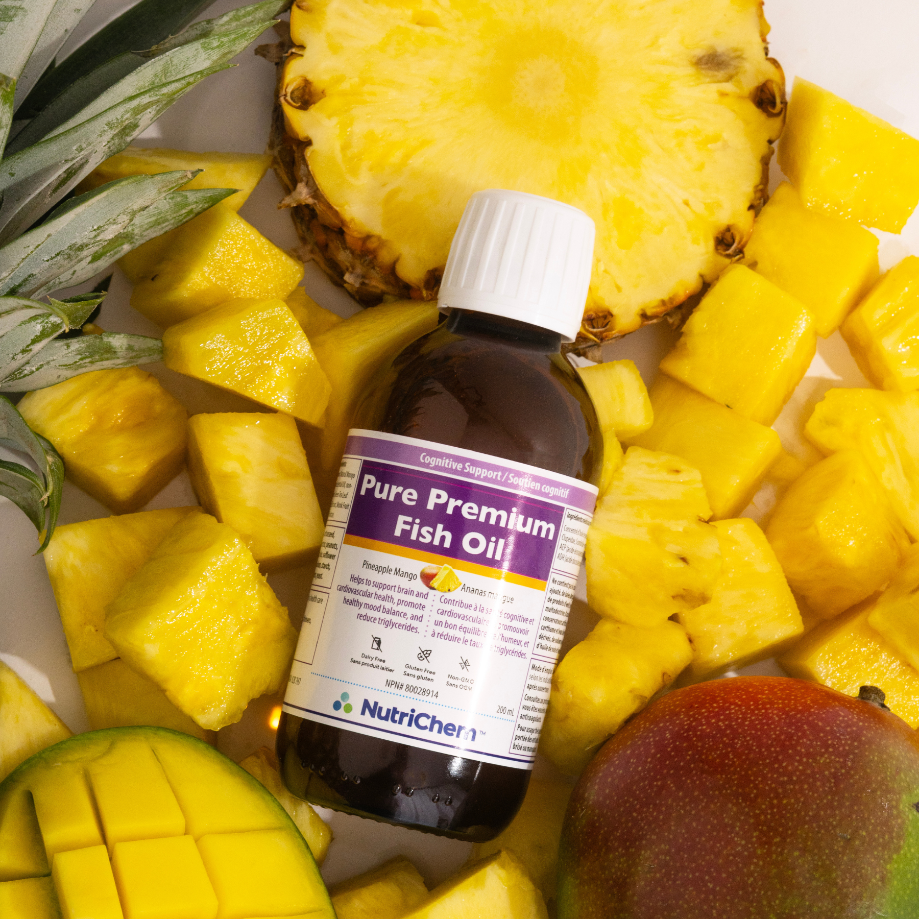 QC Website Project Covers.png