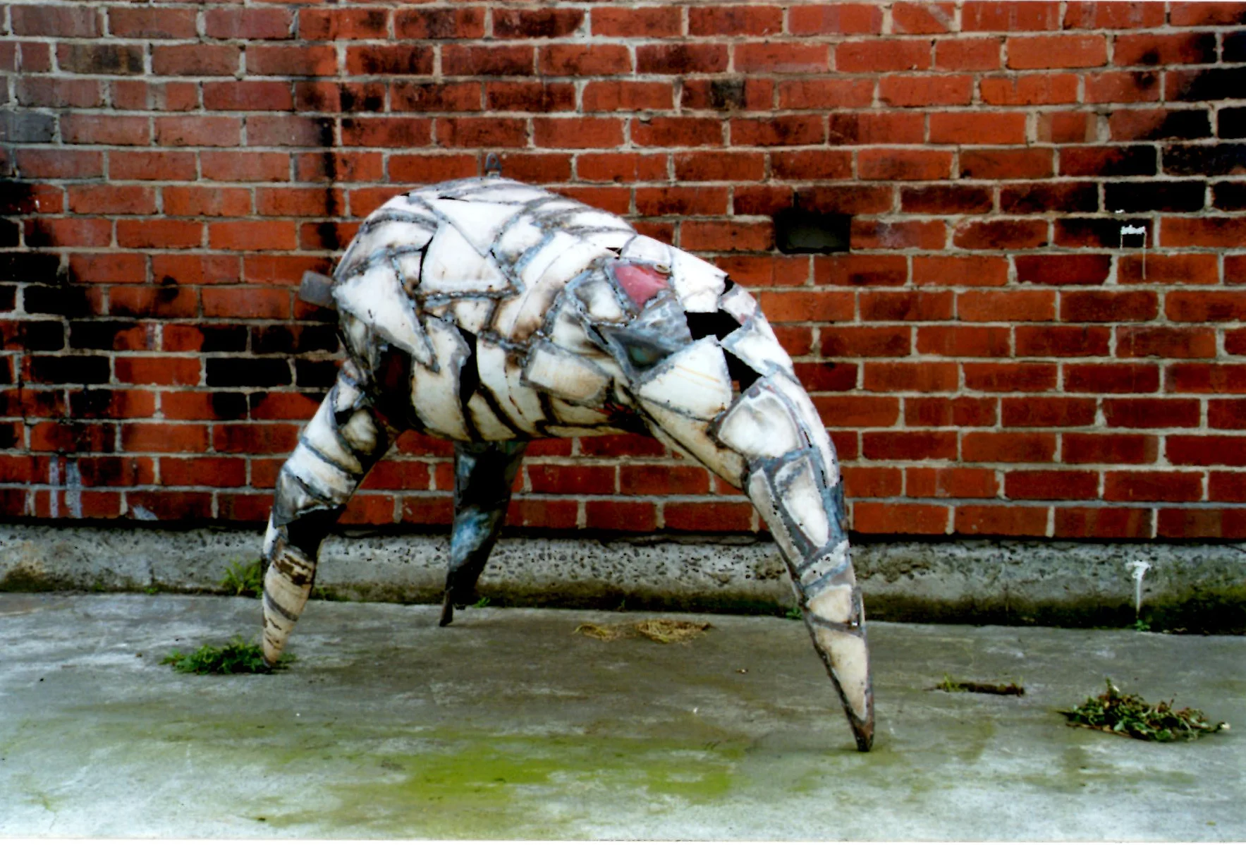 biotripod 1.jpg