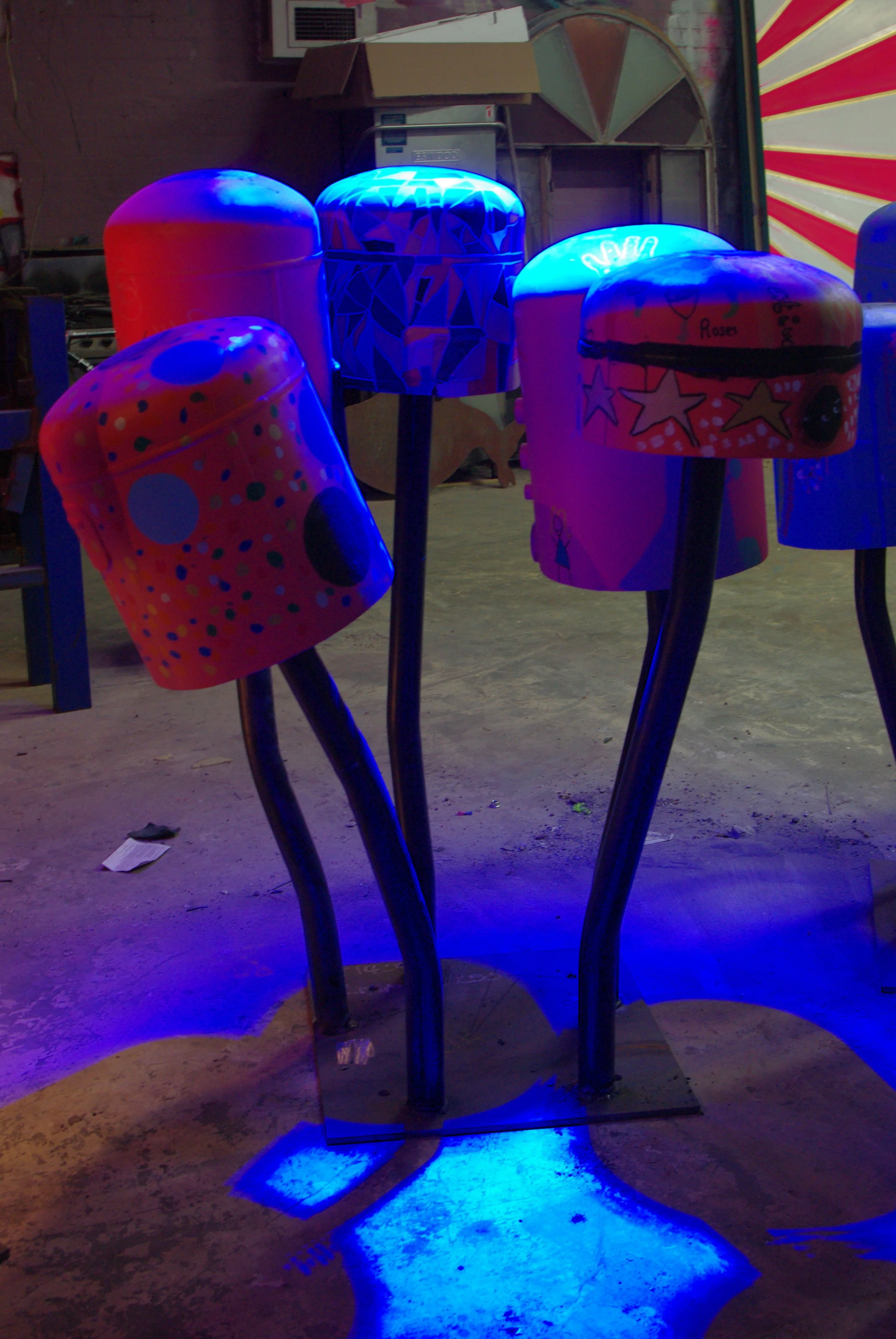 IMGP8762.JPG
