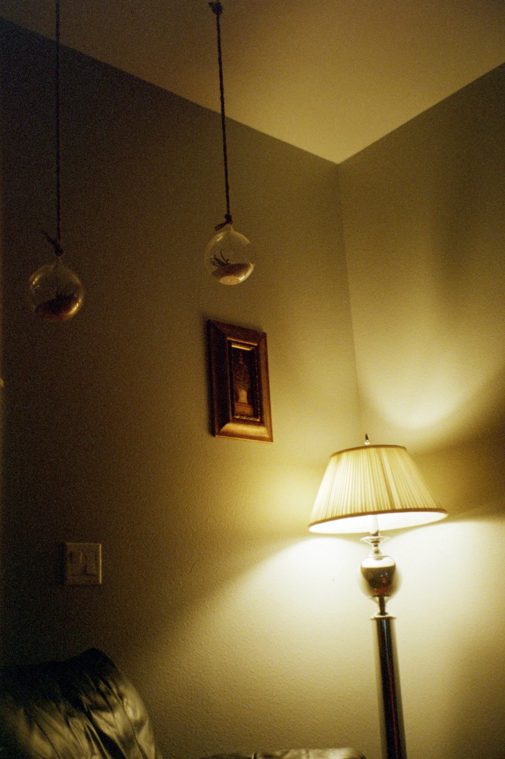 24051071120_55aa5dc3b4_o.jpeg
