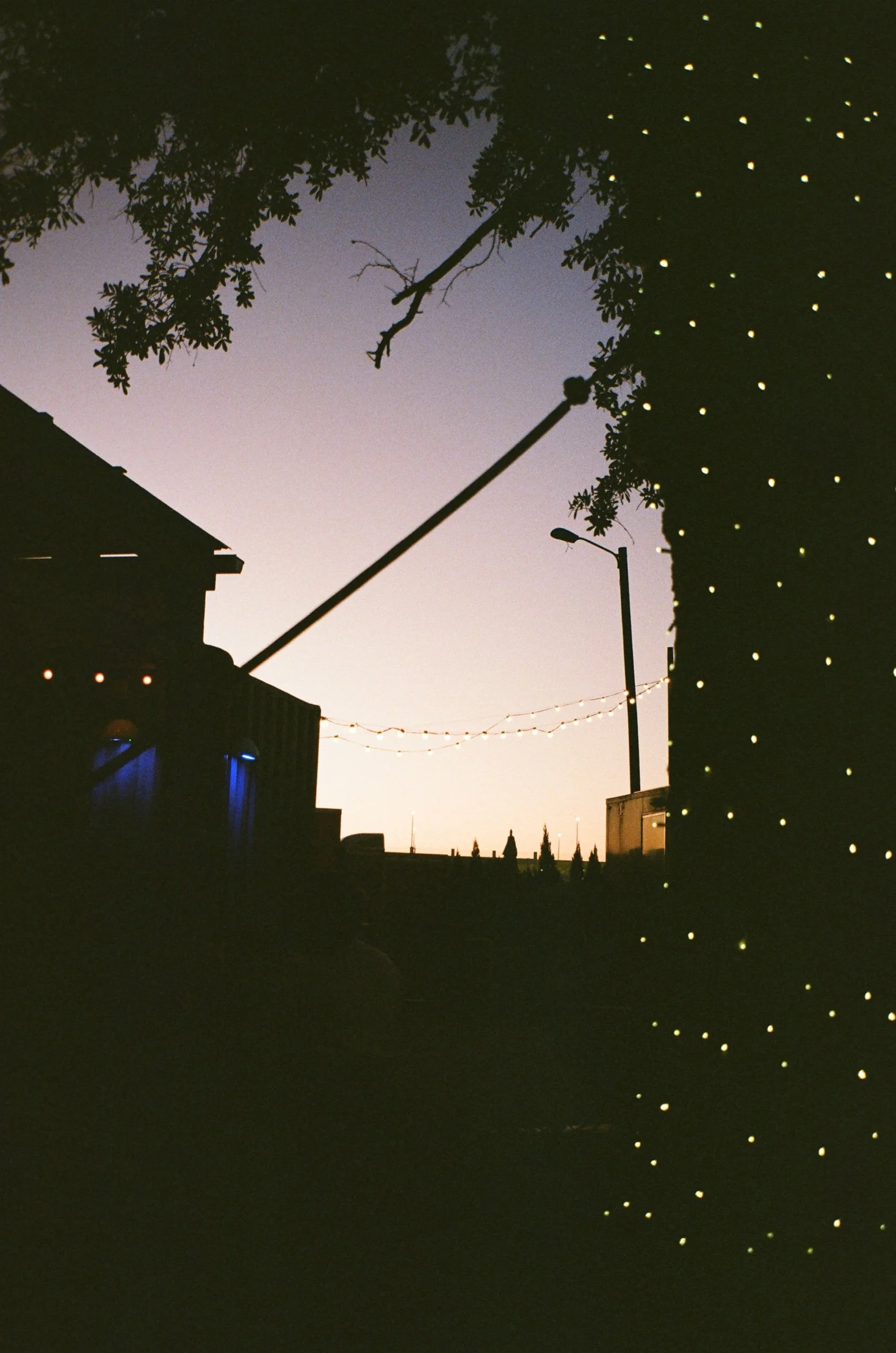 IMG_4491.jpeg