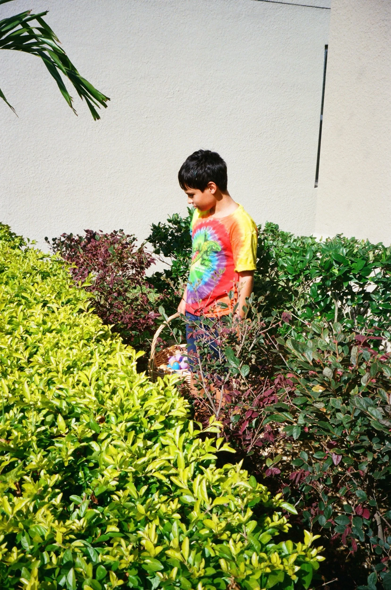 IMG_4516.jpeg