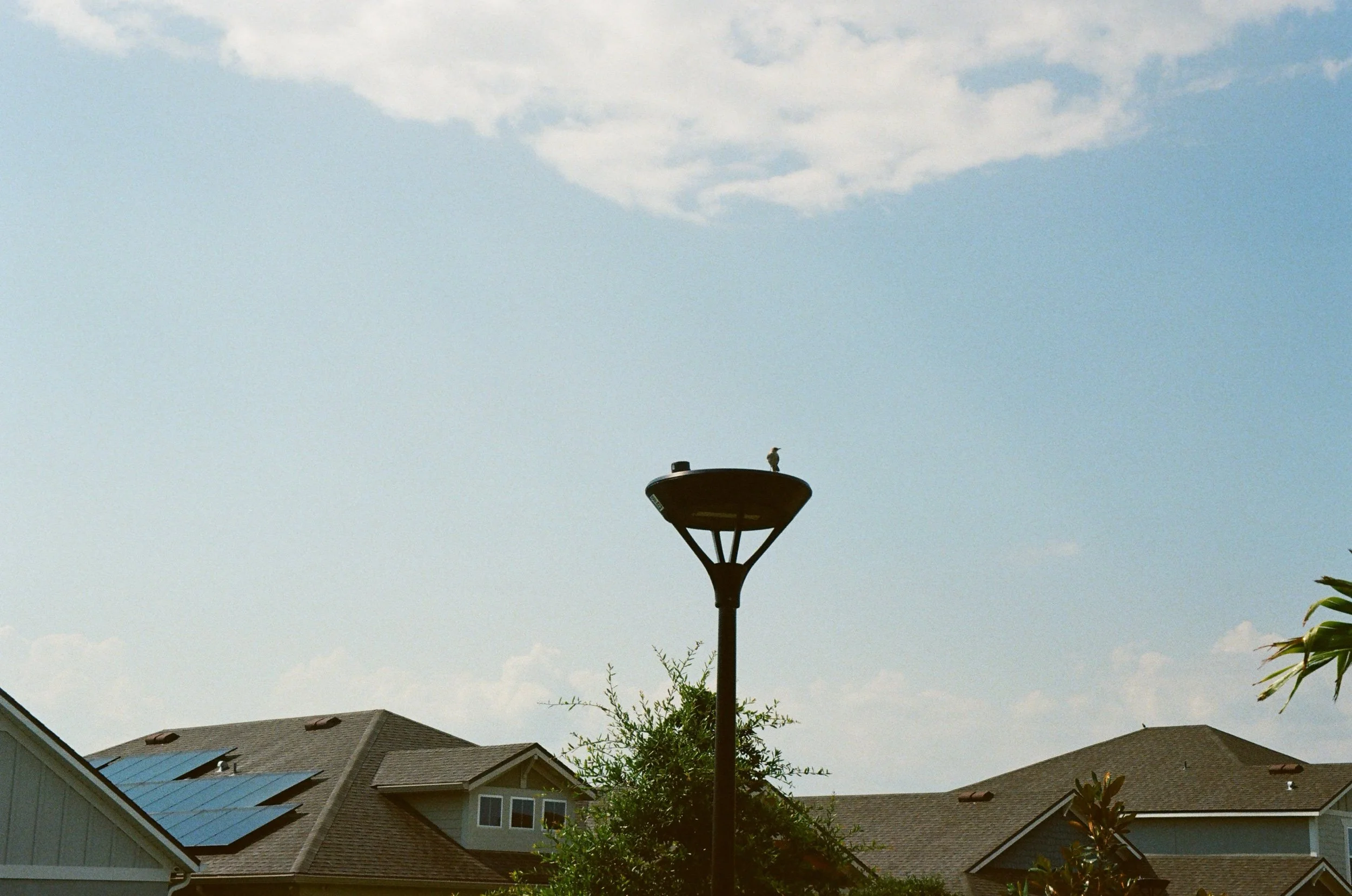 IMG_4583.jpeg