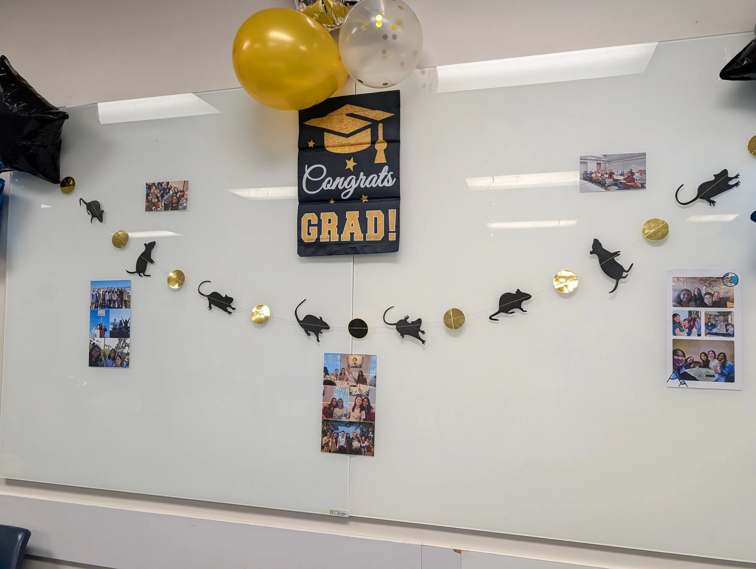 PXL_20260812_180917929.jpg