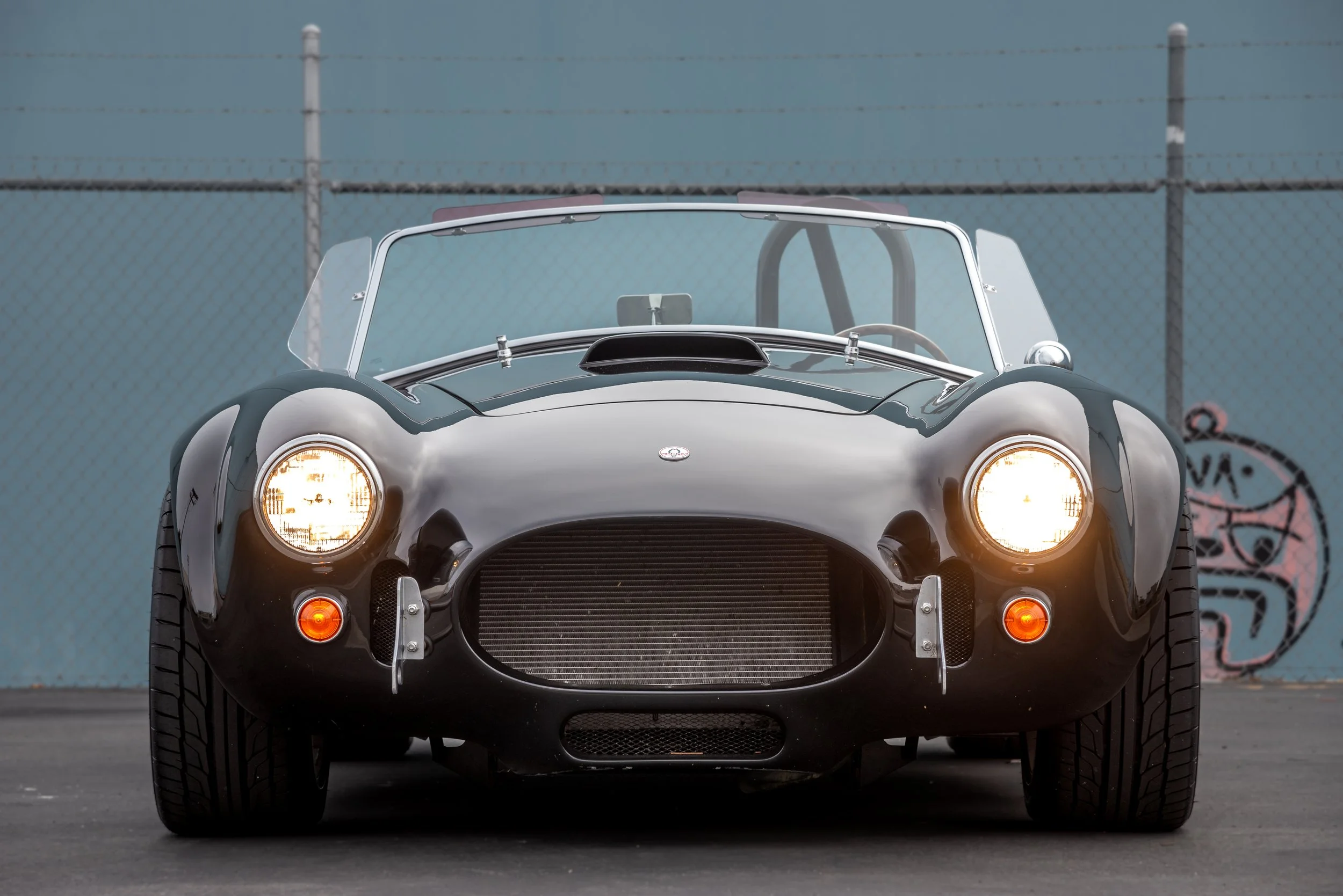 1965_Cobra_20211103-6.JPG