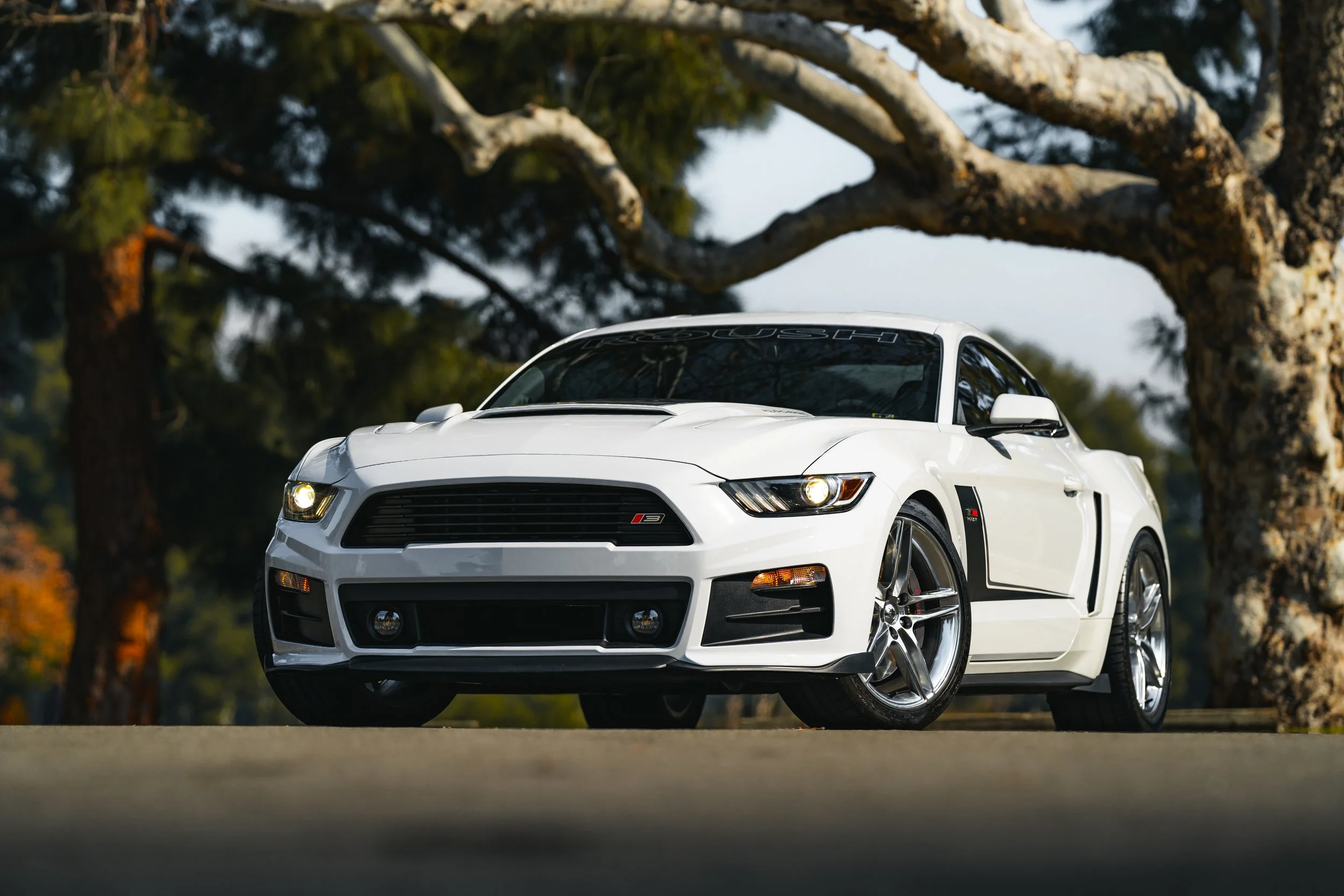 2016_Ford_Mustang_Roush_3_20240116-4.JPG