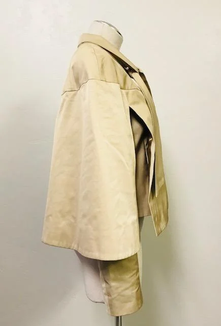 MoschinoCape2.jpg