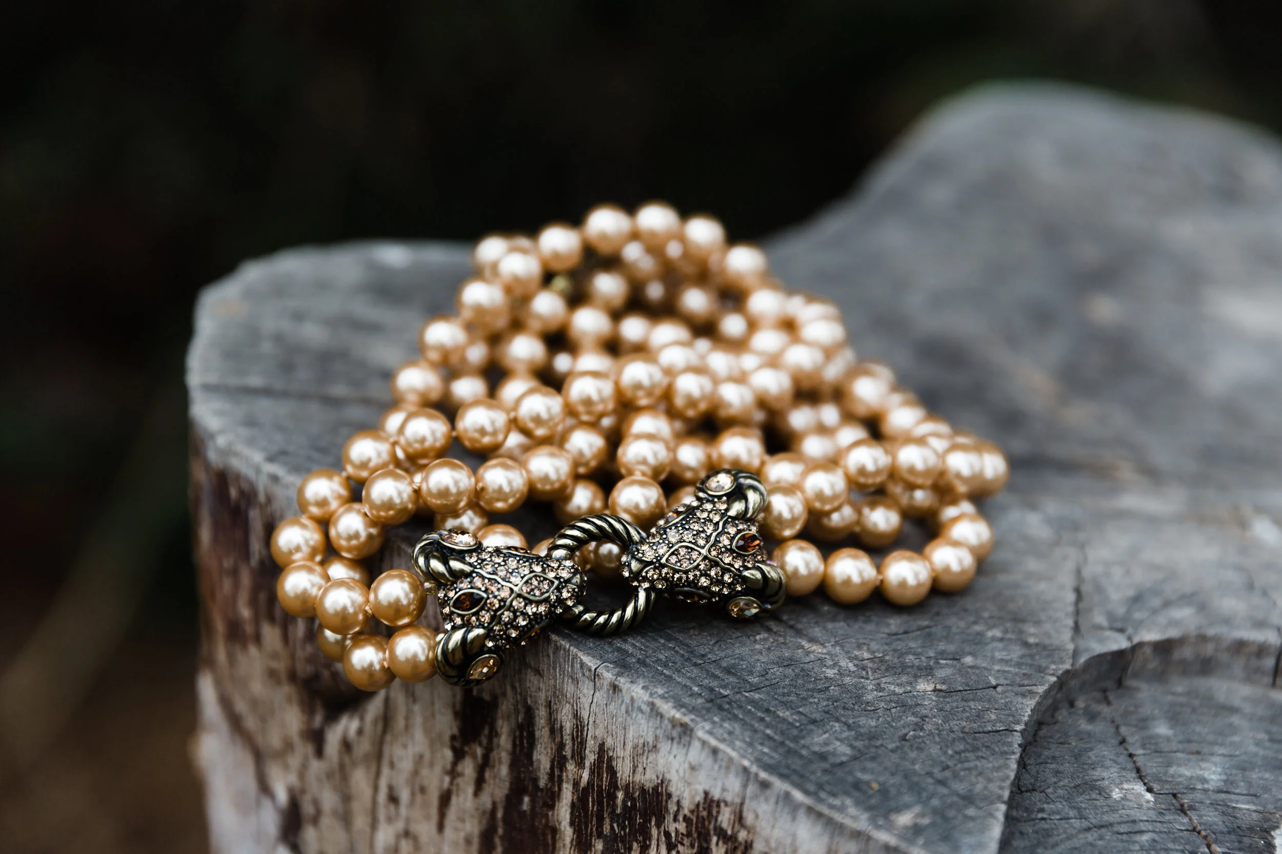KellySwedaPhotography.Renaissance.9_24_18-2194.jpg