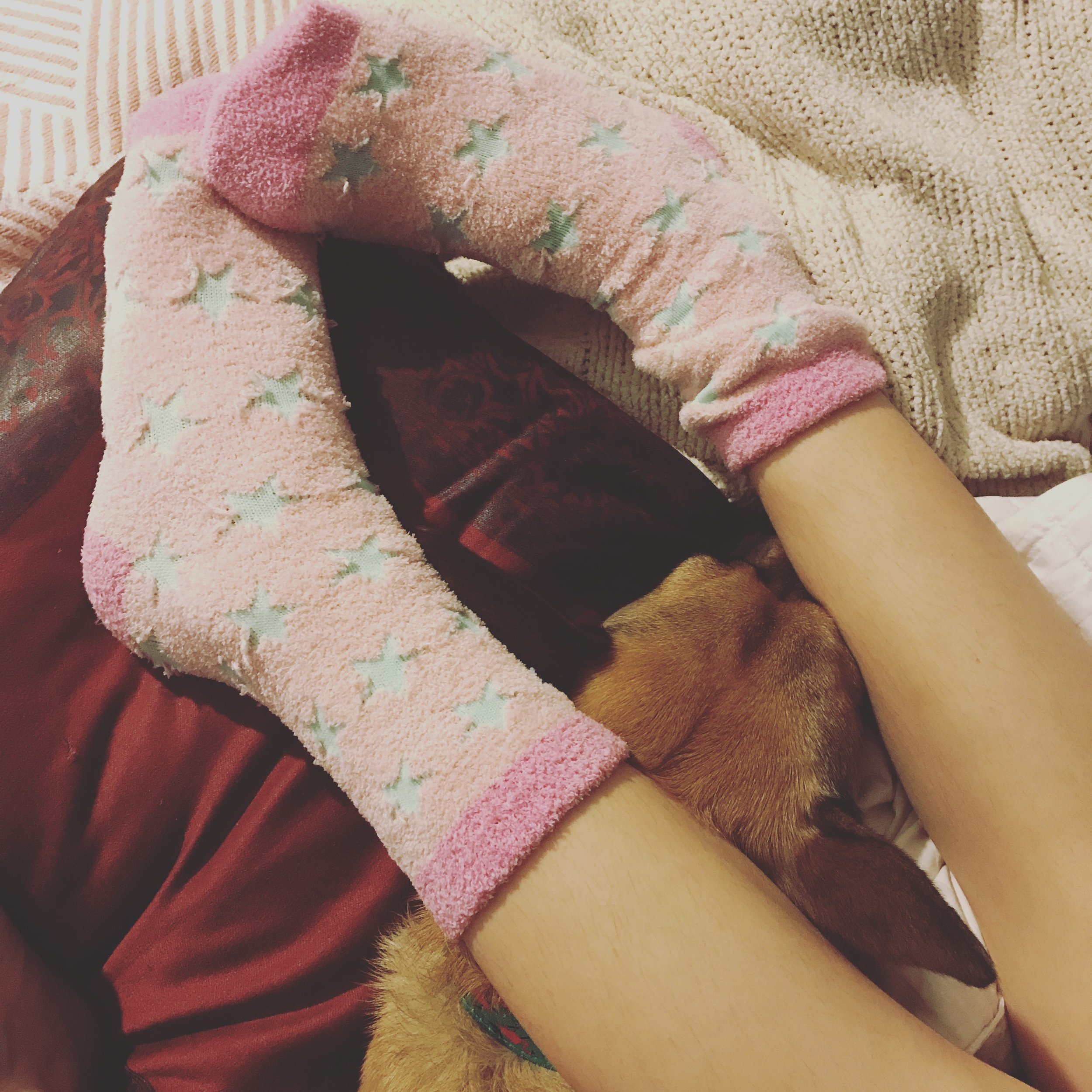 Homeschooling: From a Beginner