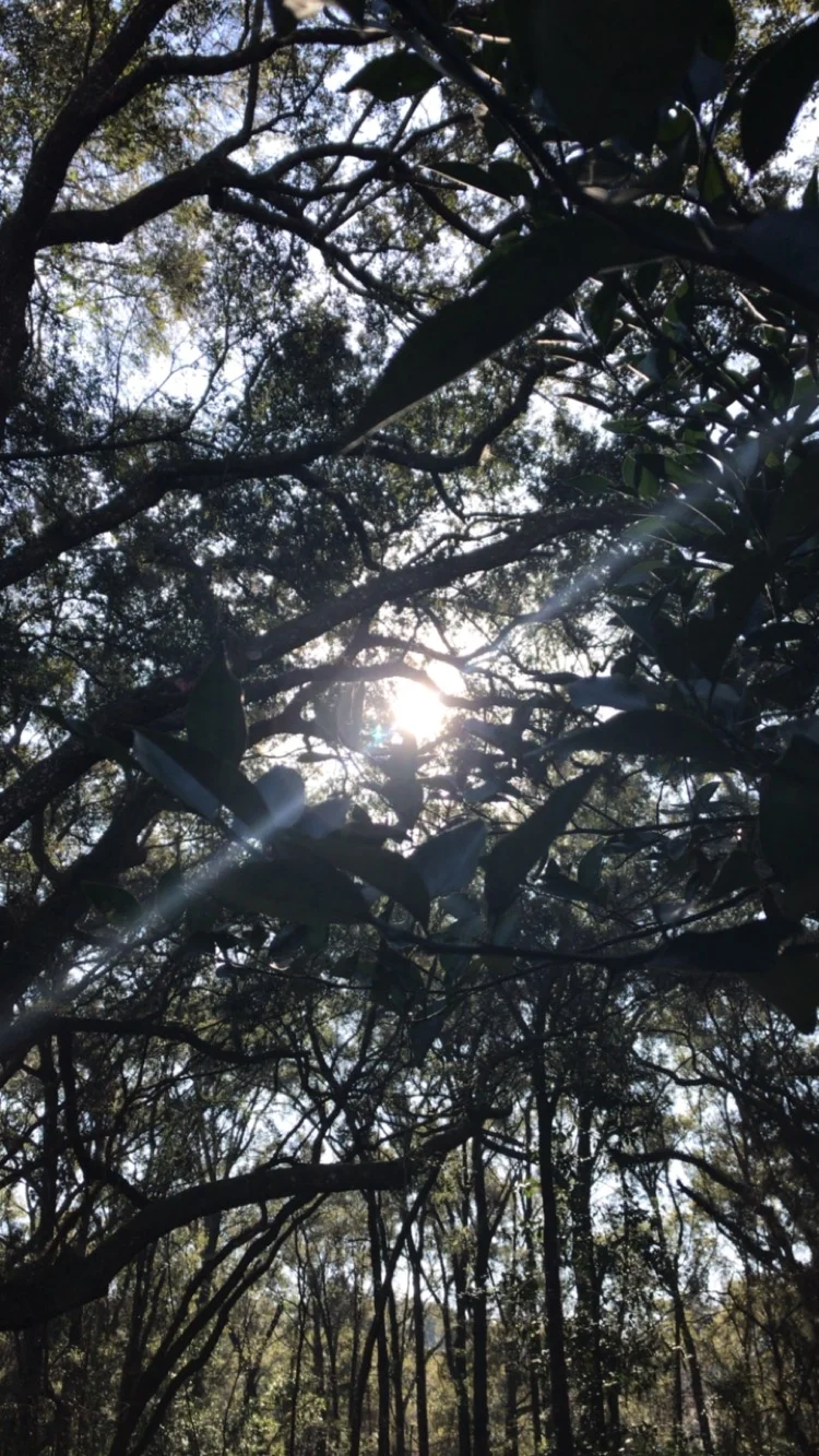 Crawling into the Light