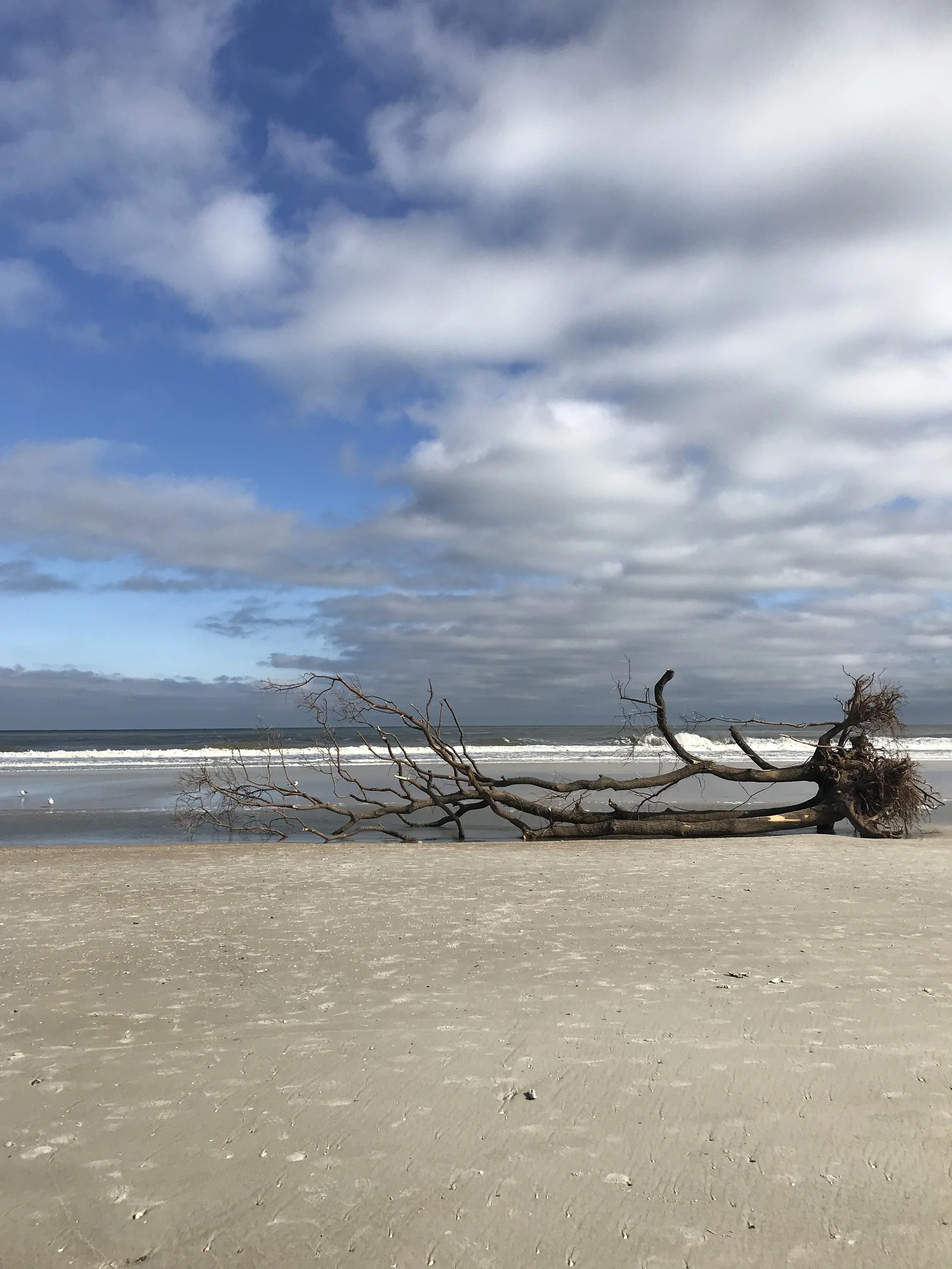 For now, not forever.