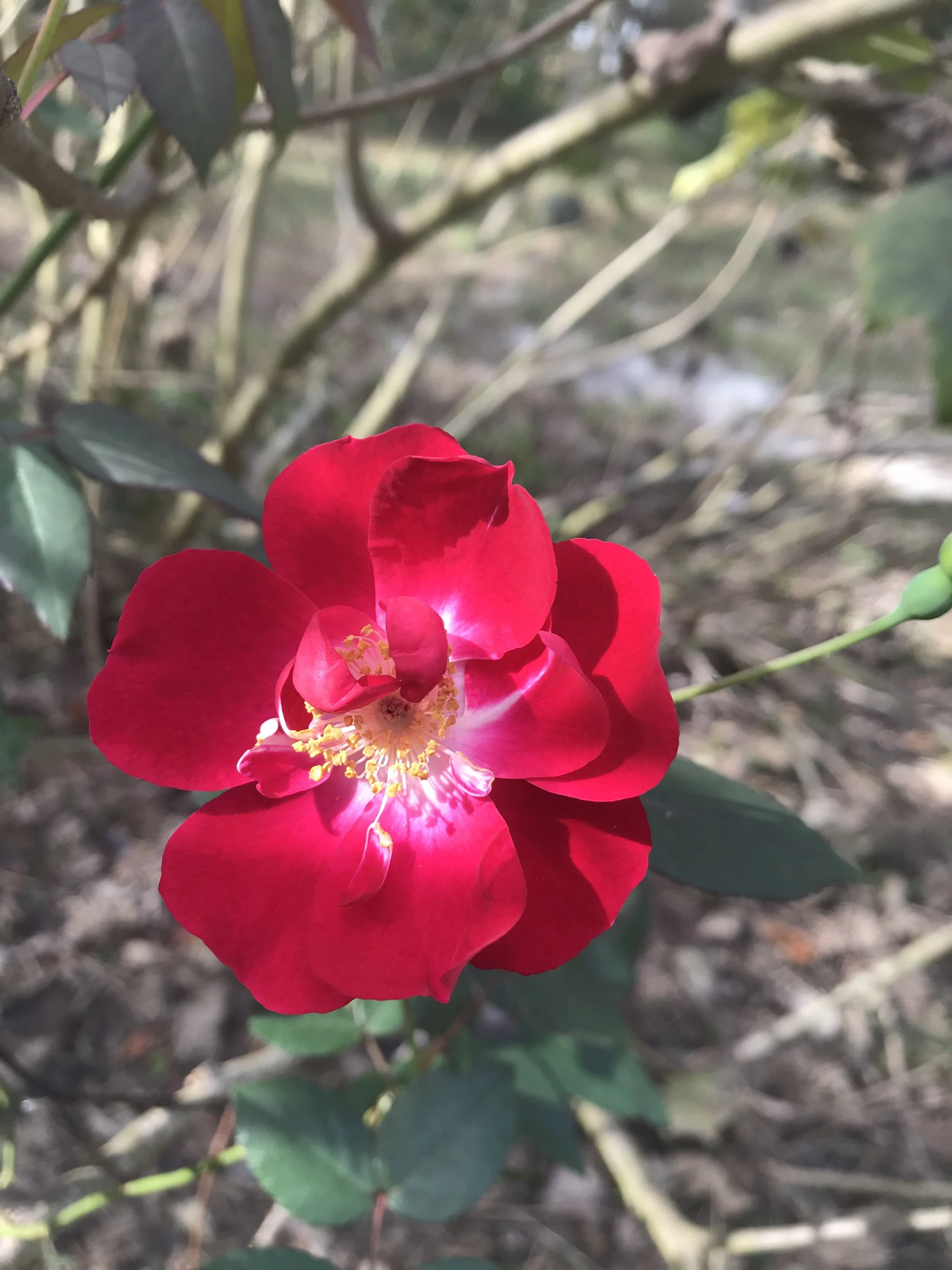 When Motivation Hits