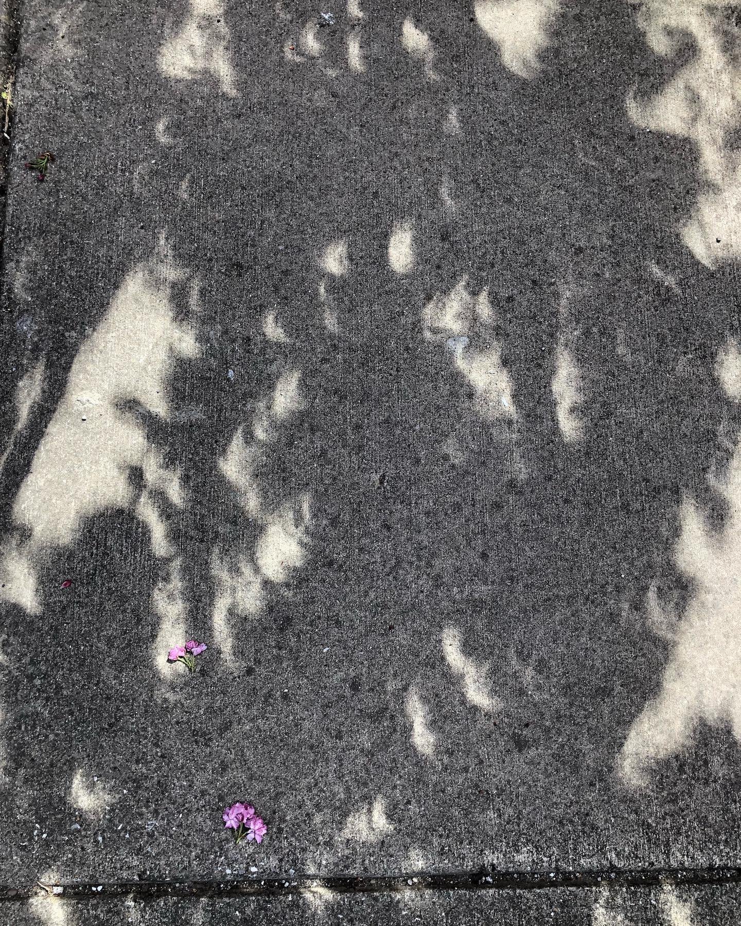 Kind of wish I had posted this on Monday as a time stamp, but here we are. 🤍 We spent six days traveling and spending time with some of my favorite people on this planet. Seeing the total eclipse with them (again!) was incredible. I&rsquo;m forever 