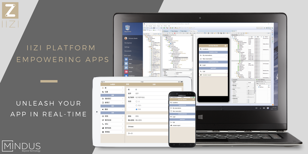 introducing iizi platform.png