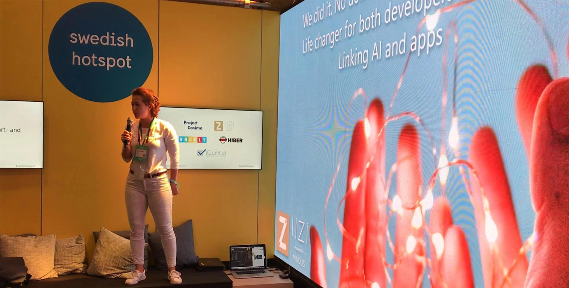 Mindus-iizi-pitch-WebSummit-2018.jpg
