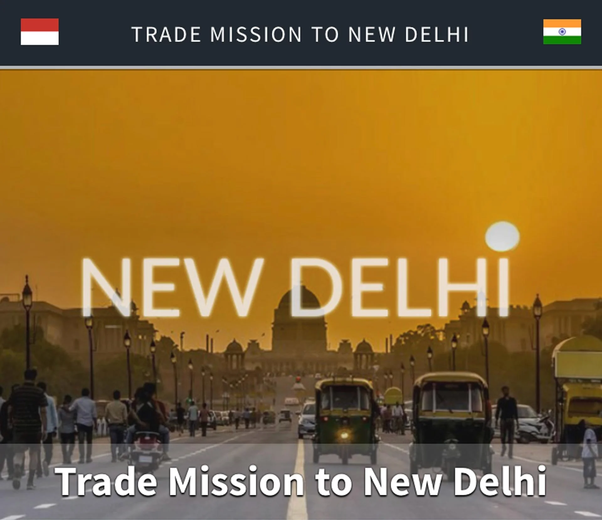 Monaco-India-New-Delhi-Trade-Mission-MEB-FICCI-IFCCI-Christopher-Nathalie-Caroline-Mindus-iizi-cut.jpg