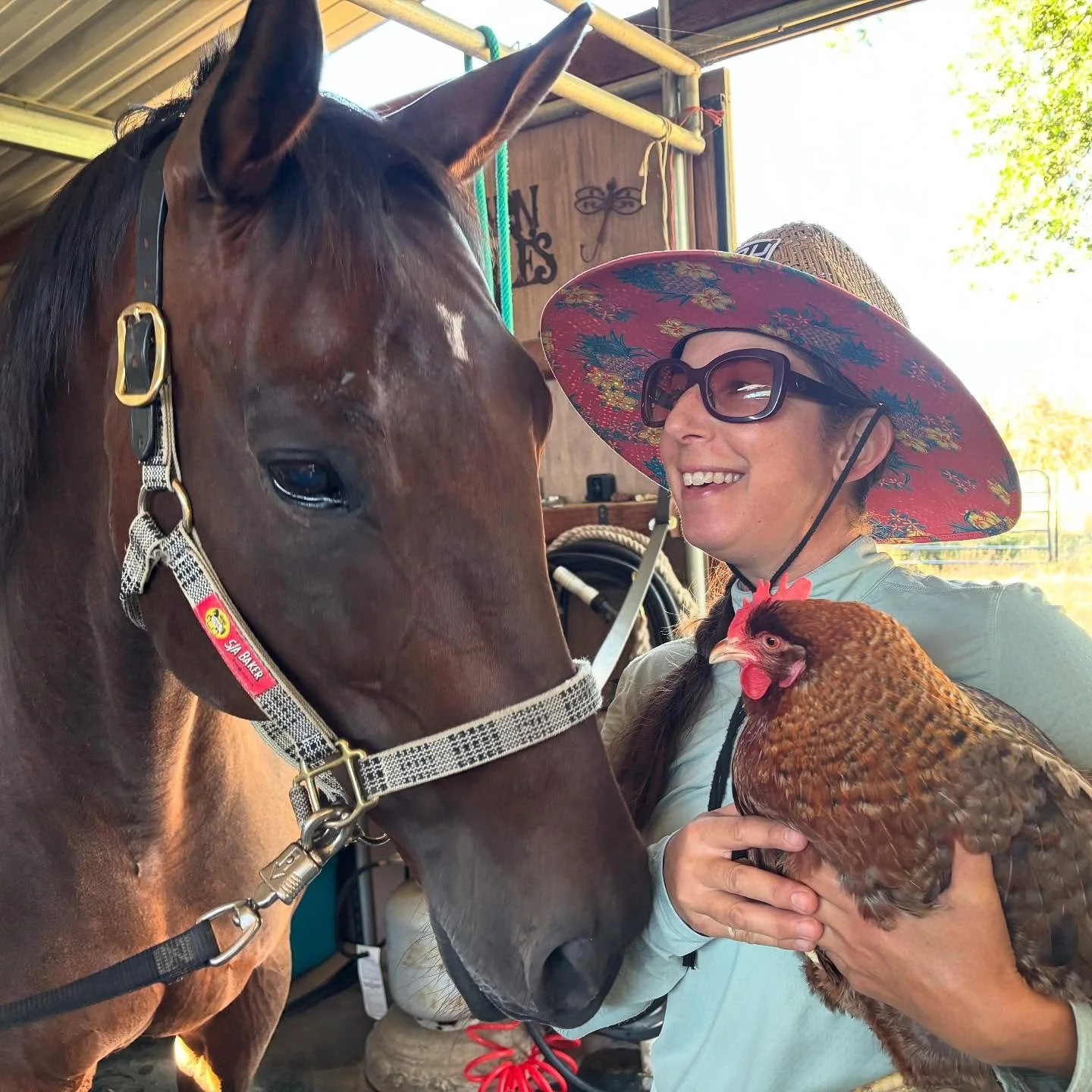 Despite our best efforts, Hildee was unable to regain her strength and started to struggle again this afternoon when we made the tough decision to help her leave her beloved flock to journey over the rainbow bridge with grace and style. Compared to h