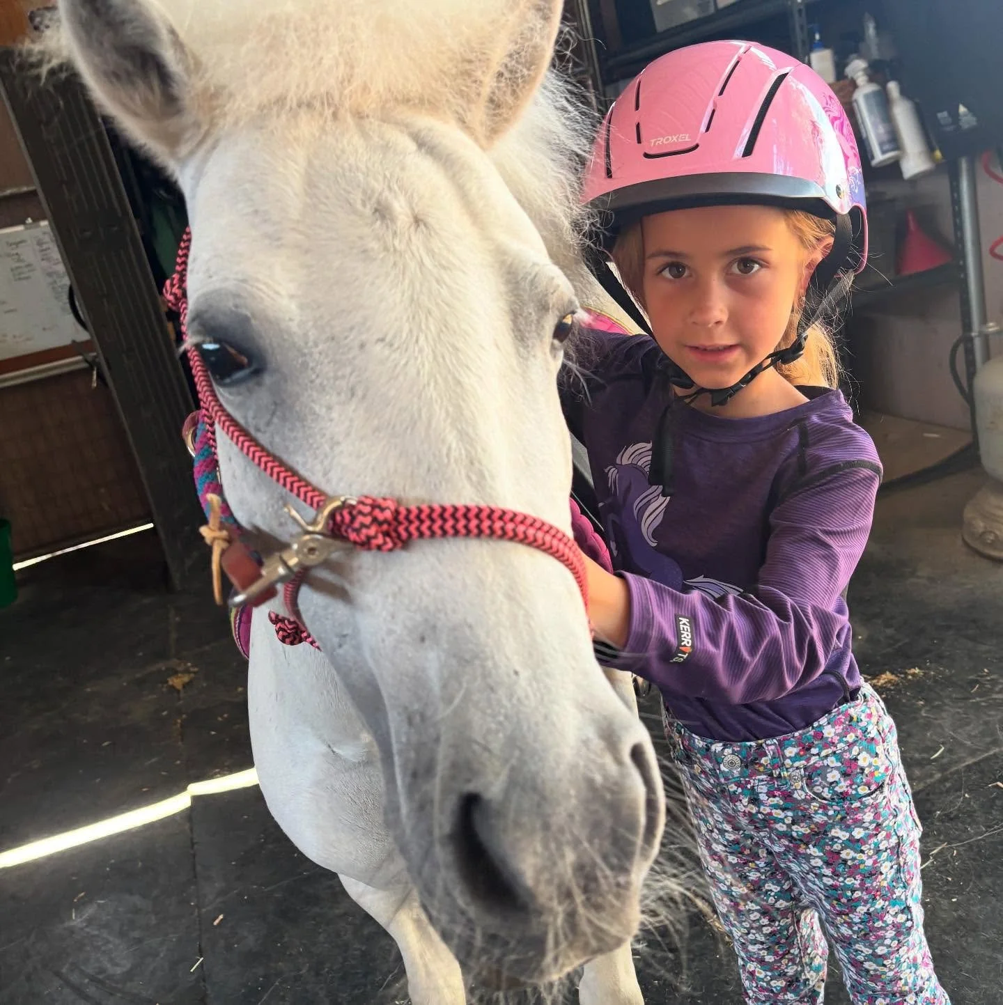 This weekend was nothing short of magnificent Dragonfly magic! Enjoy the recap of our weekend full of amazing classes, friends, summer, and ranch life at its best!! So proud of our fabulous mighty mares, our friends and gorgeous people who are the cr