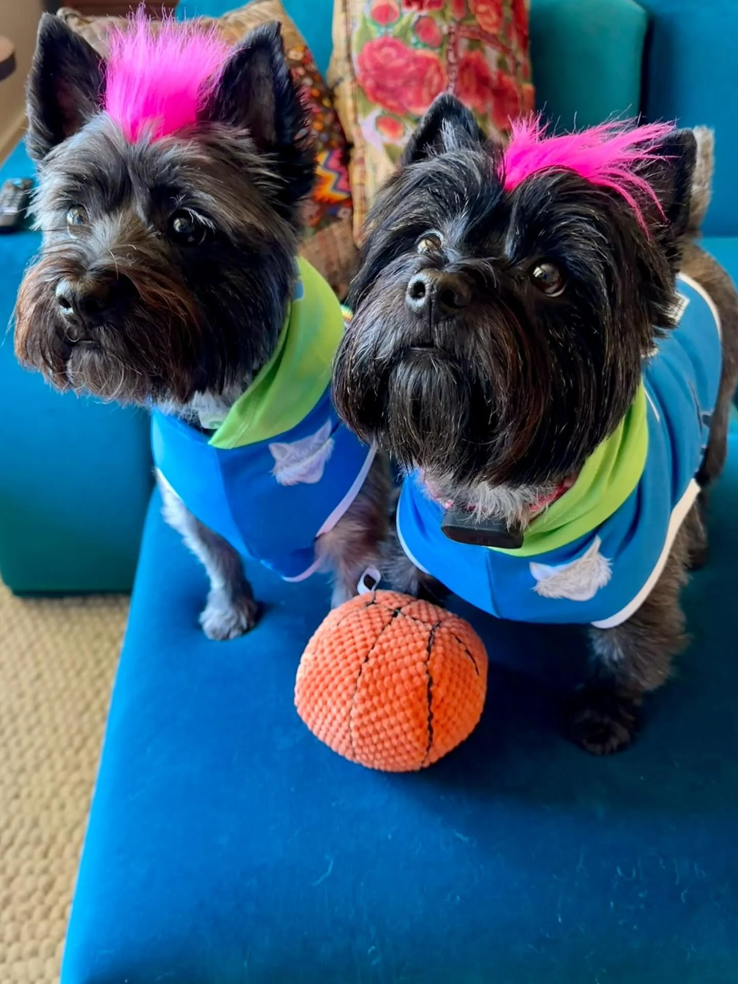 Halloween prep in full effect! Now introducing…
THE REAL STUD BUDZ ππ
Representing @courtneywilliams10 & @t5poon this Halloween! Number 10 and number 2 reporting for duty πΎ @stud.budz would be proud! @minnesotalynx
#StudBudz #Minnesota