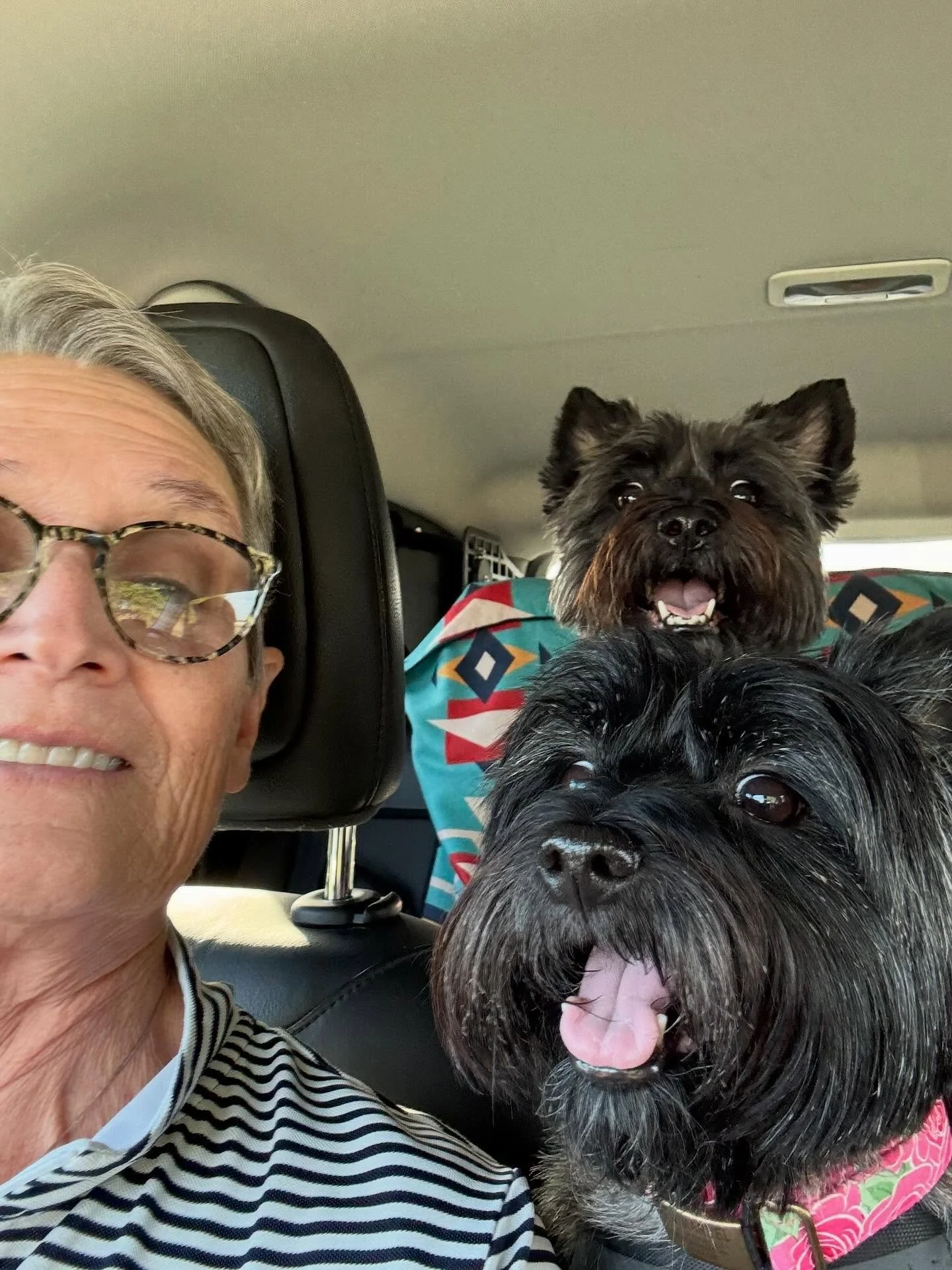 A long weekend of great food, movies, projects, doggie walks, some fancy luxuriating, and togetherness… another great visit in the Dragonfly books from the one and only Mama Jo. We love you and cherish these times together π₯° (and that means a