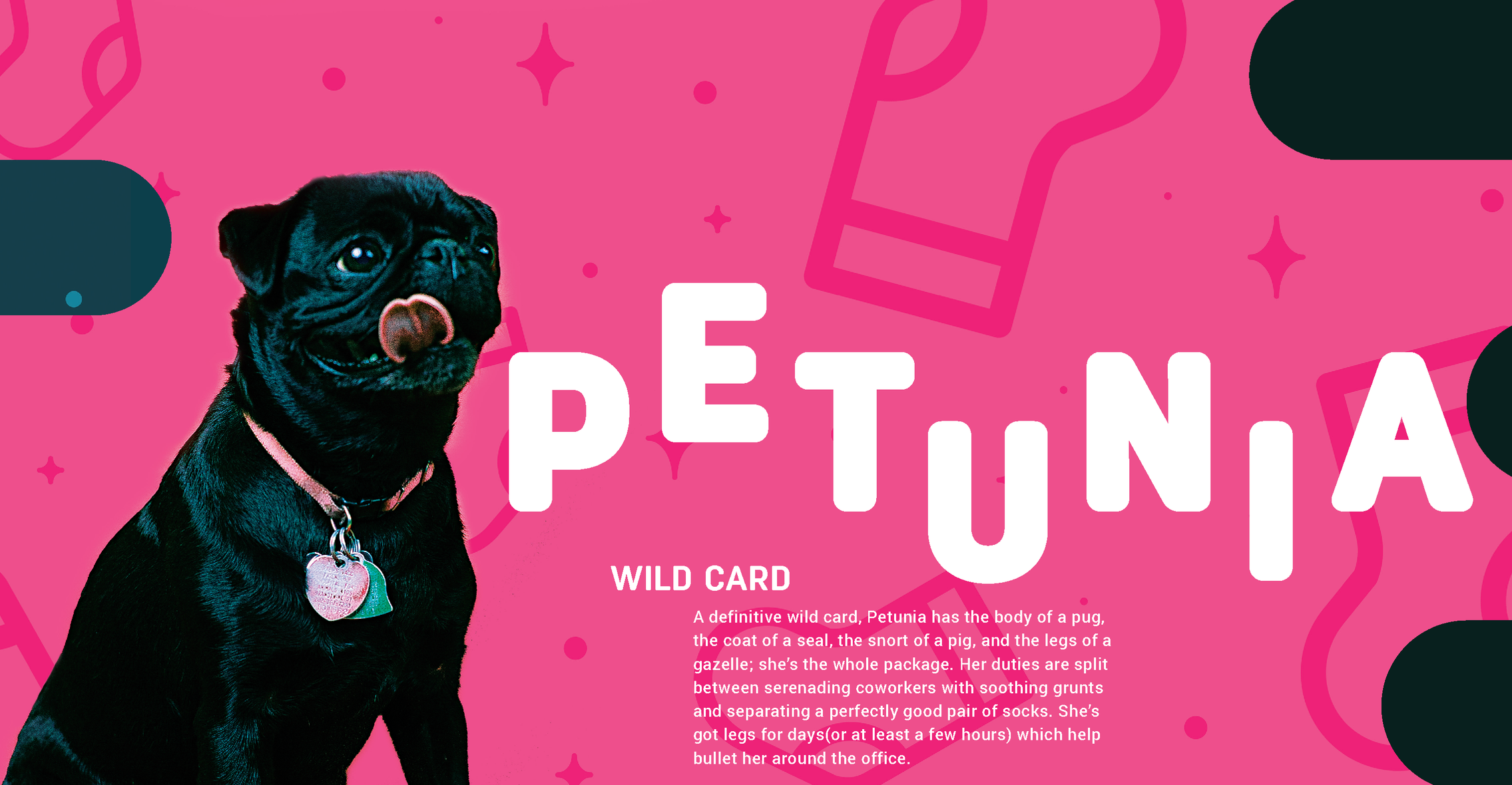 petunia_Page_6.png