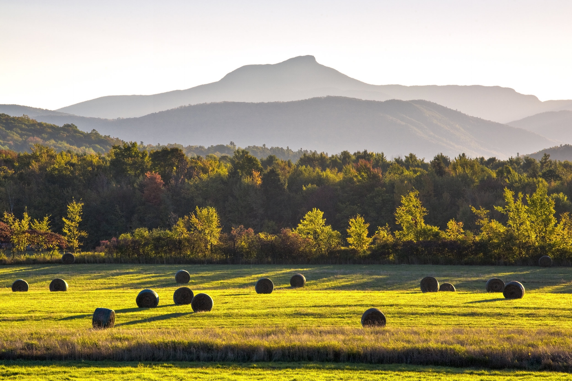 Camel's Hump Meadow_tweak.jpg