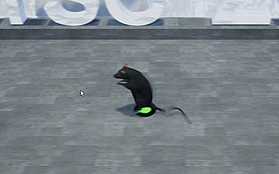 Run.gif