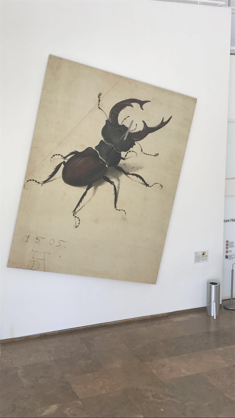 Image 3.png
