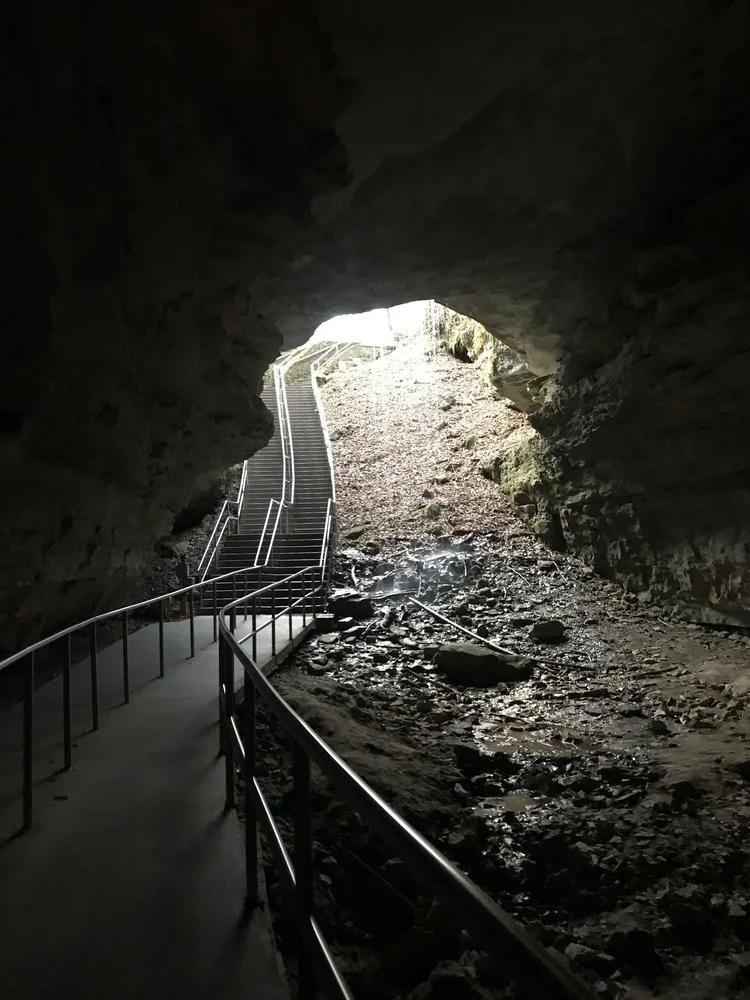 KY Day 5 - Caves, Carnivores, and Contemporary Art