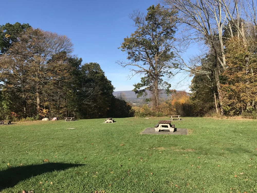 NY Day 5 - Buffalo Buffalo Buffalo Buffalo Buffalo 