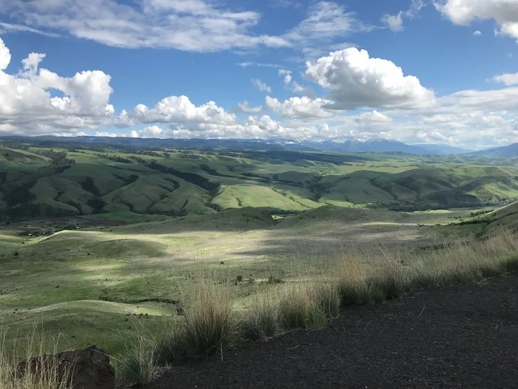 Idaho Day 1- Big Dogs, Bad Tires, and Blue Waters