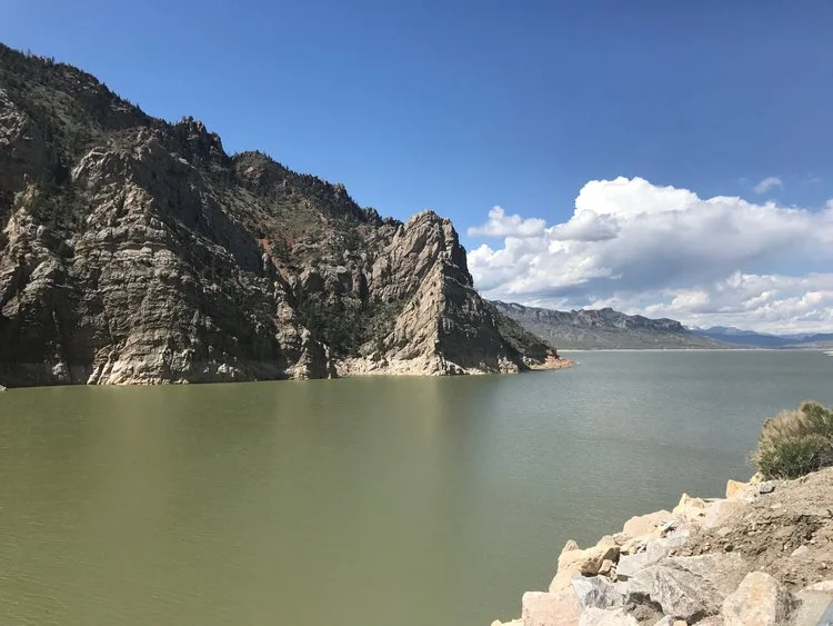 Wyoming Day 1 - Wildlife Art, Actual Wildlife, and Western Towns