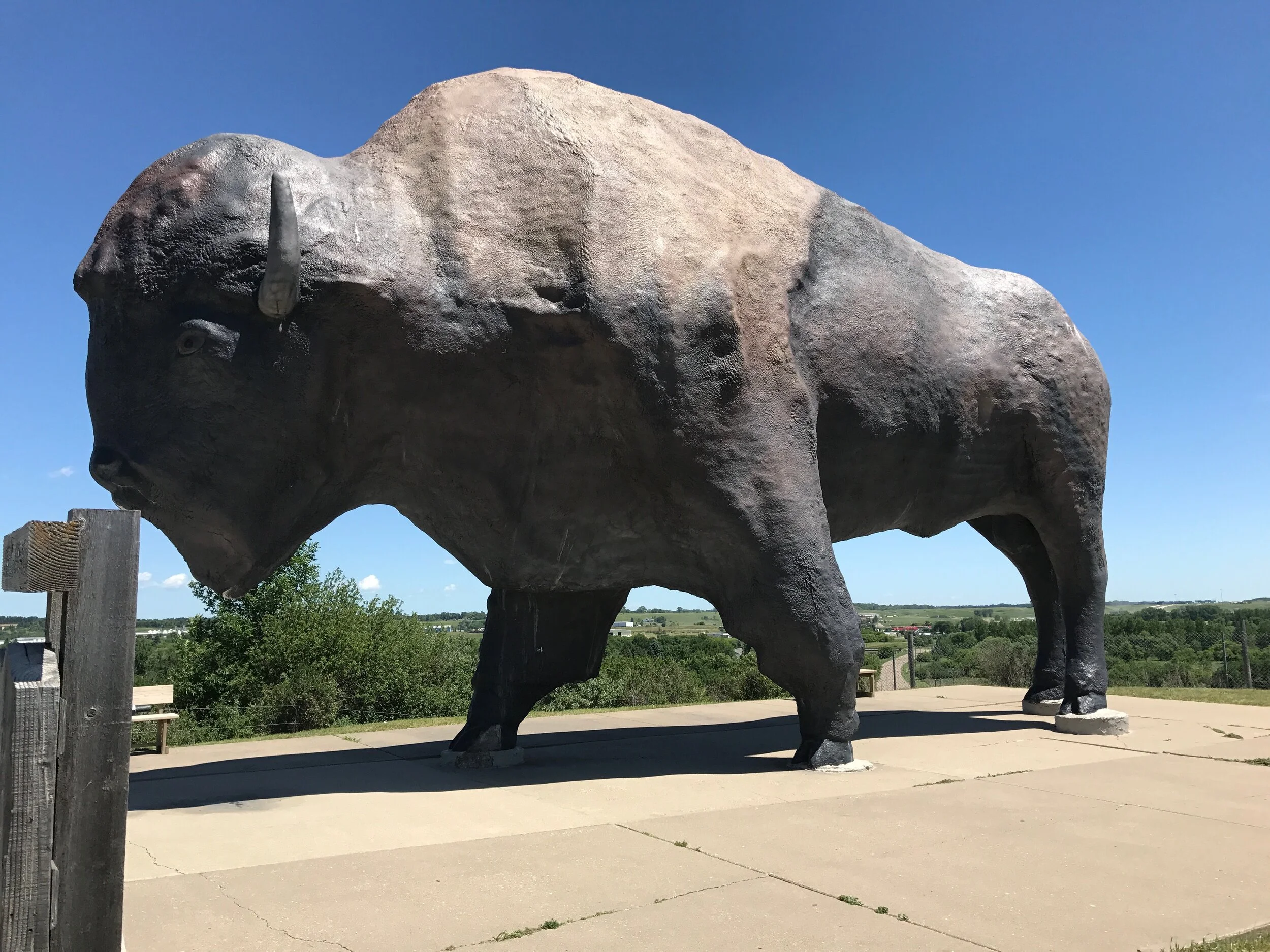 ND Day 3 - Breakfast, Buffalo, and Boisterous Crowds