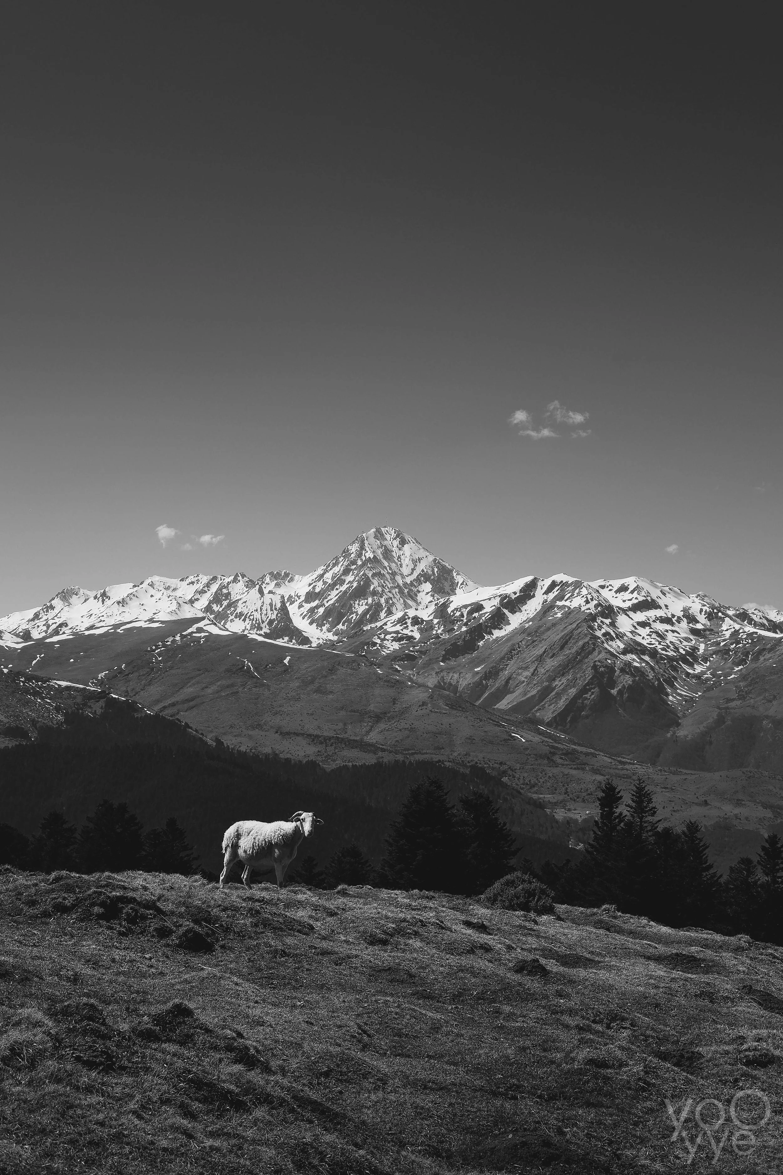 DSCF6042-3.jpg