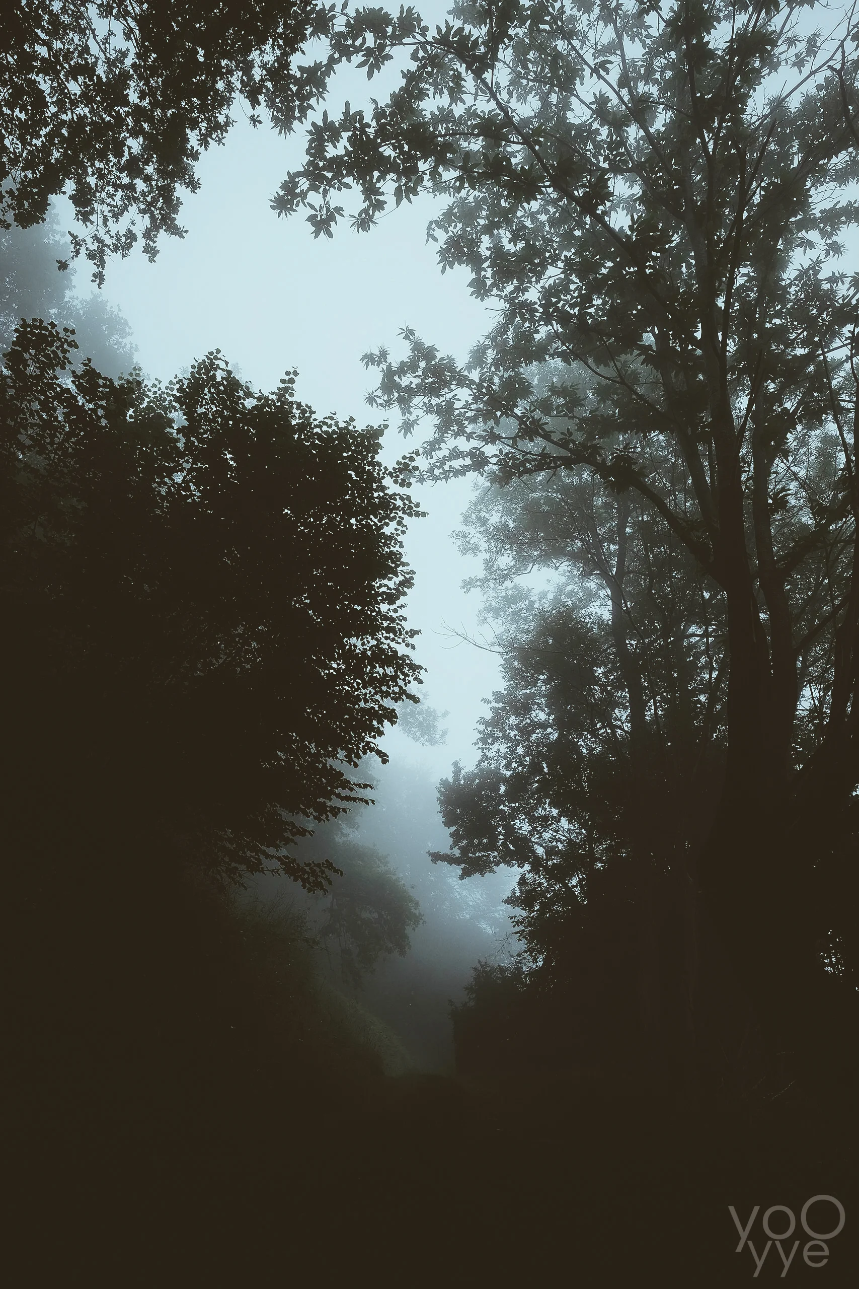 DSCF8394-3.jpg