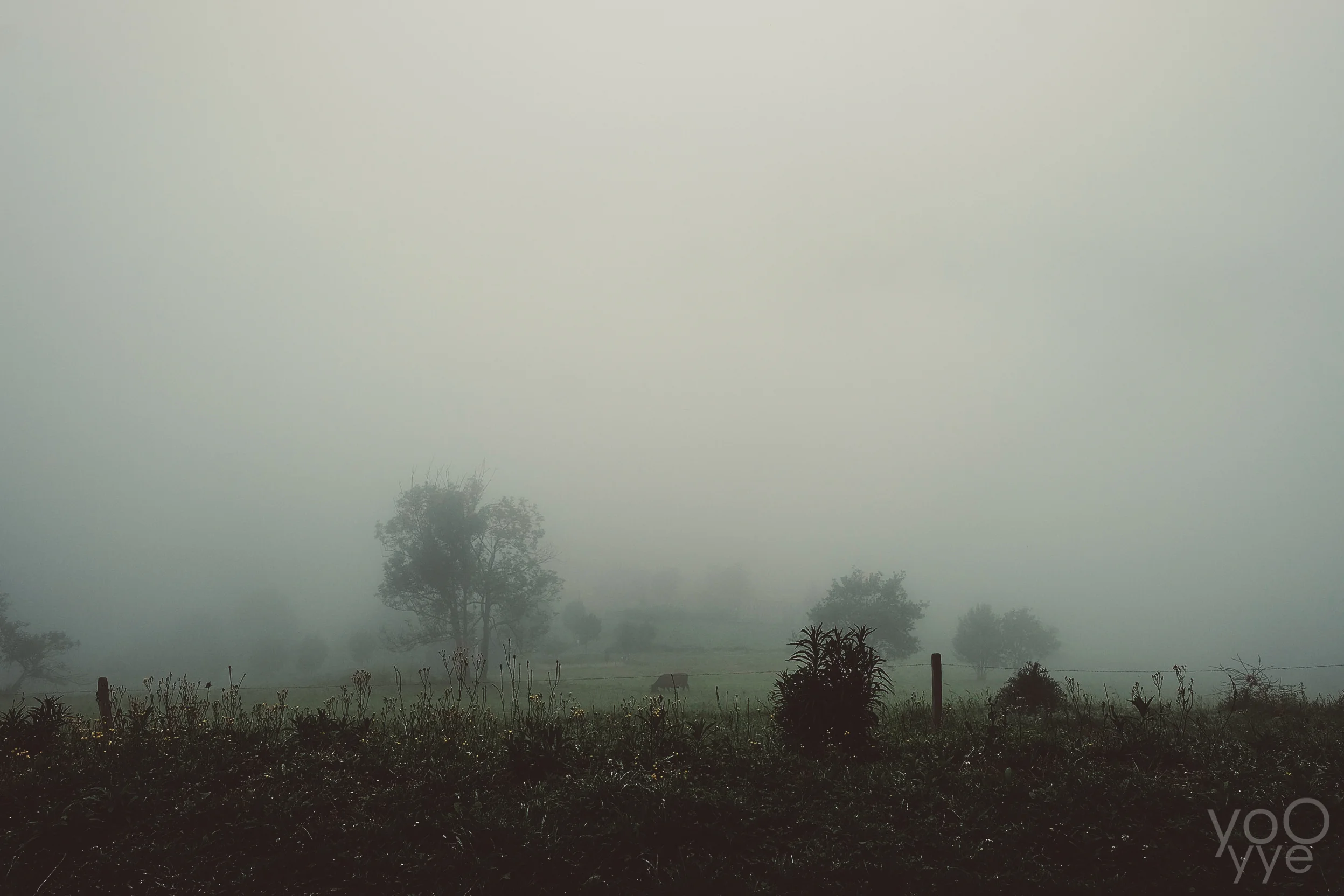 DSCF8507-2.jpg