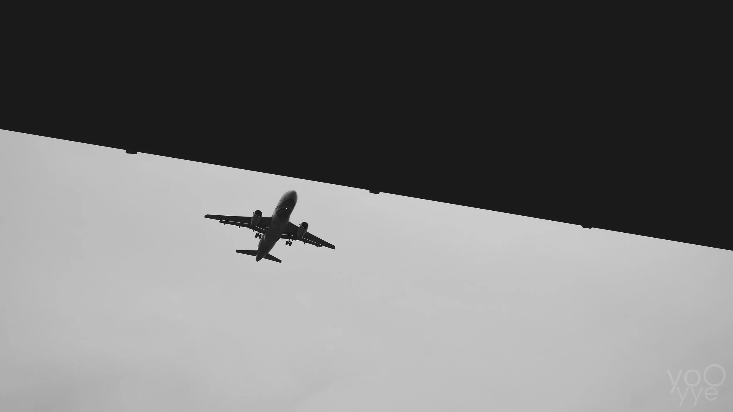 DSCF7536.jpg