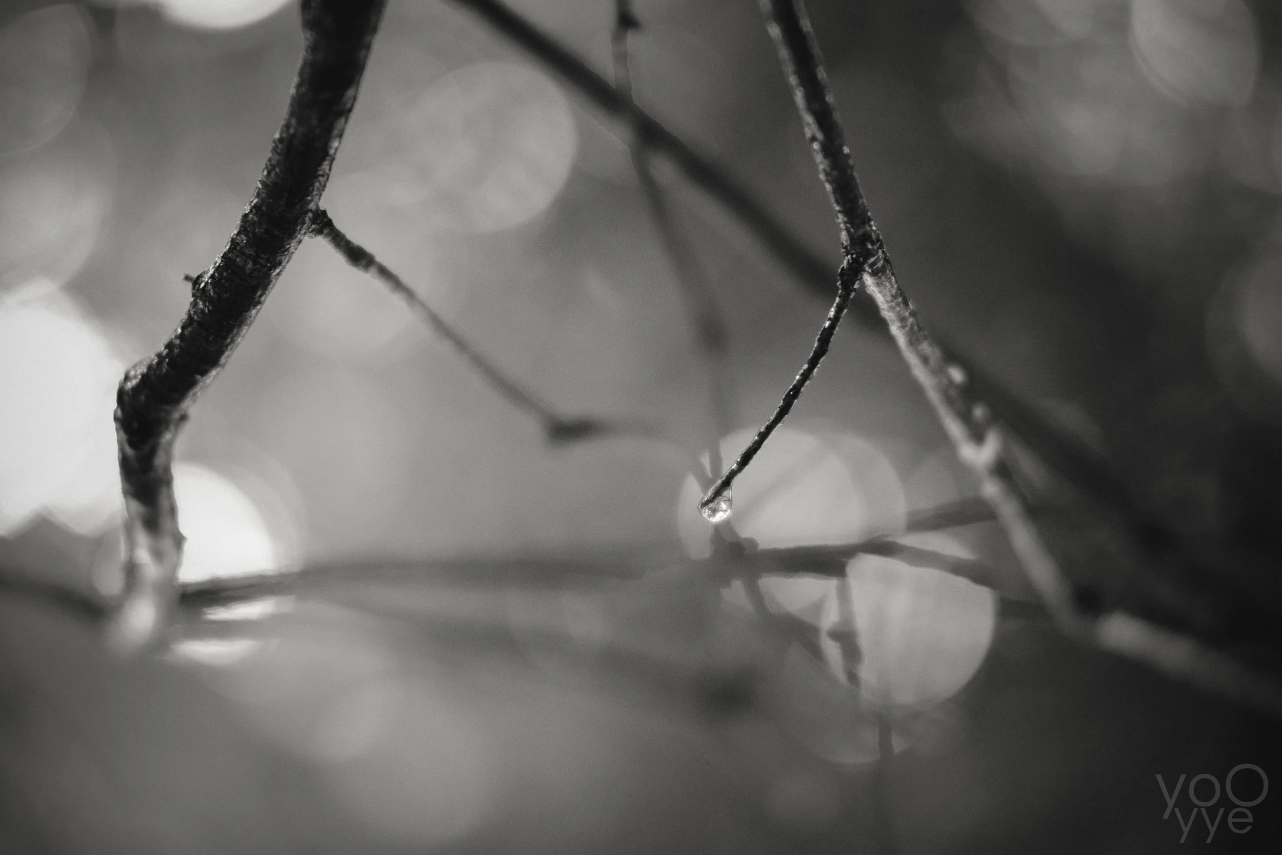 DSCF4491.jpg