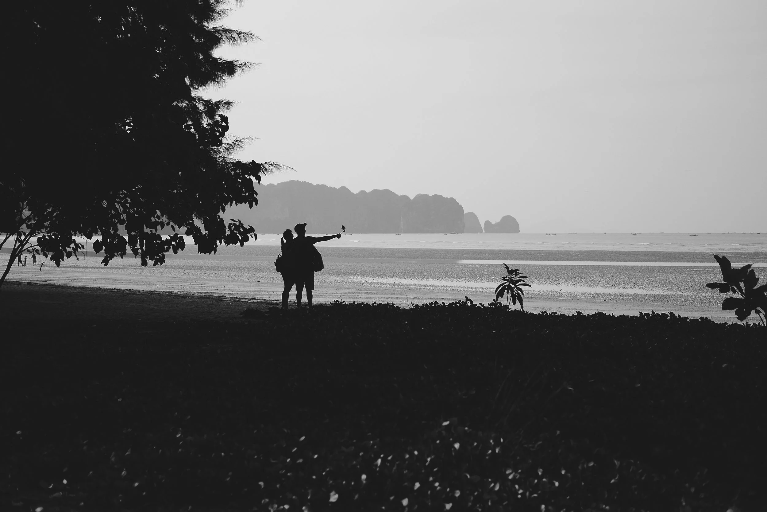 DSCF7263.jpg